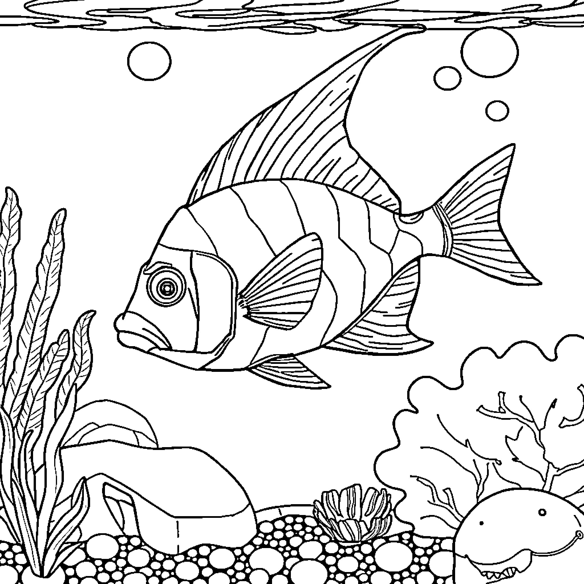 Angel Fish swimming in the underwater scene Coloring Page (free black-and-white line drawing printable PDF for all, from beginners to advanced learners, including children, teens, adults, and seniors)