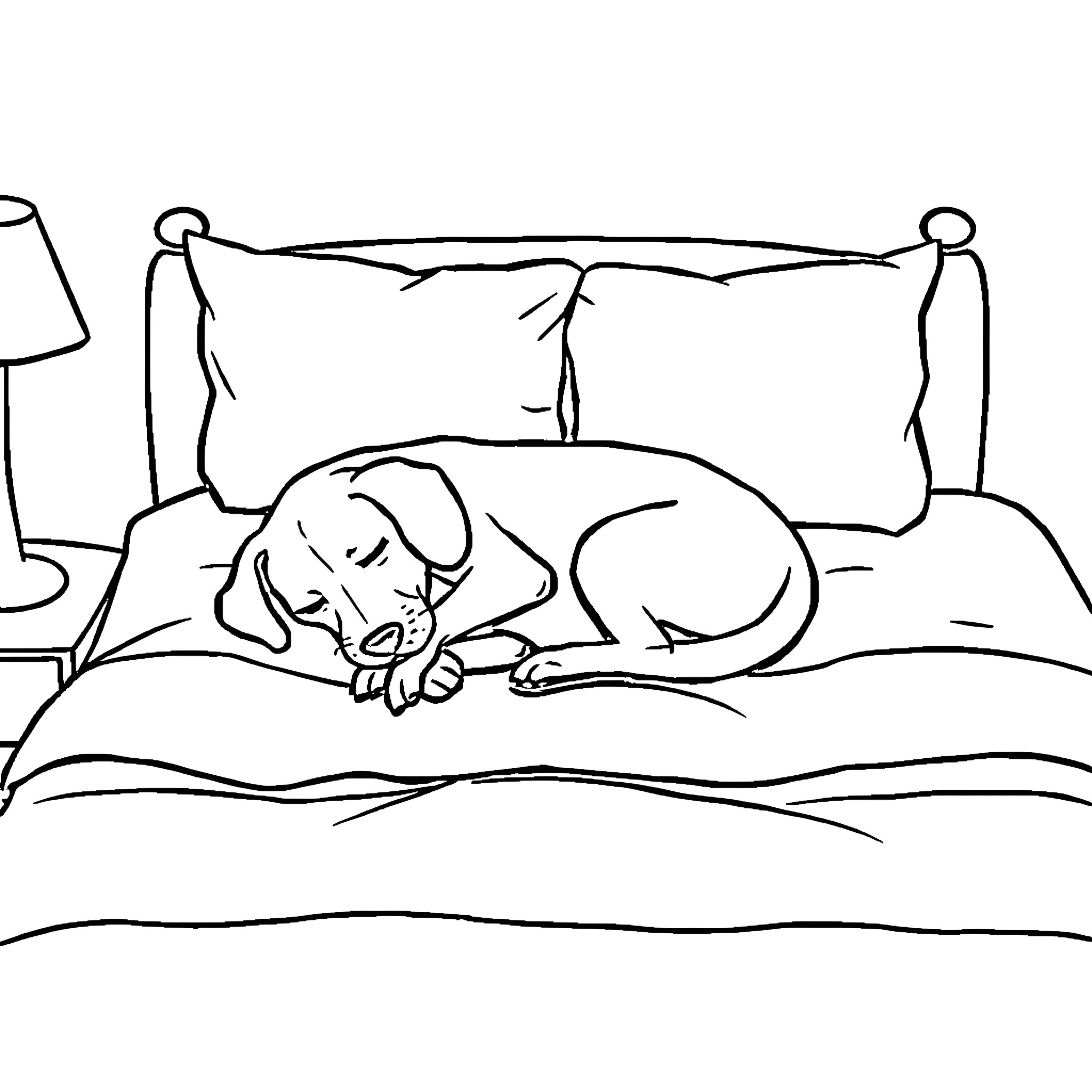 Dog sleeping peacefully on bed Coloring Page (free black-and-white line drawing printable PDF for all, from beginners to advanced learners, including children, teens, adults, and seniors)