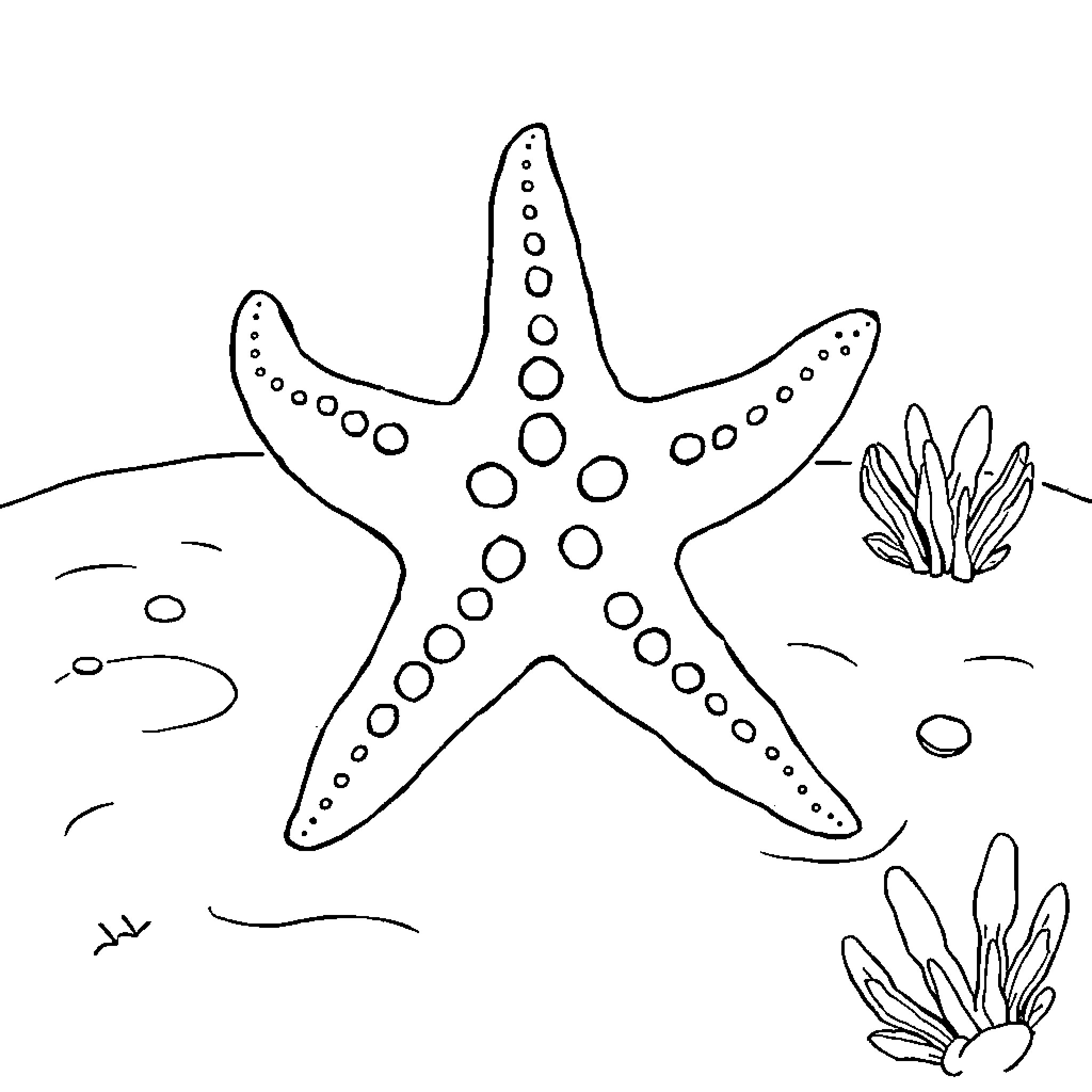 Starfish resting on sandy seabed Coloring Page (free black-and-white line drawing printable PDF for all, from beginners to advanced learners, including children, teens, adults, and seniors)