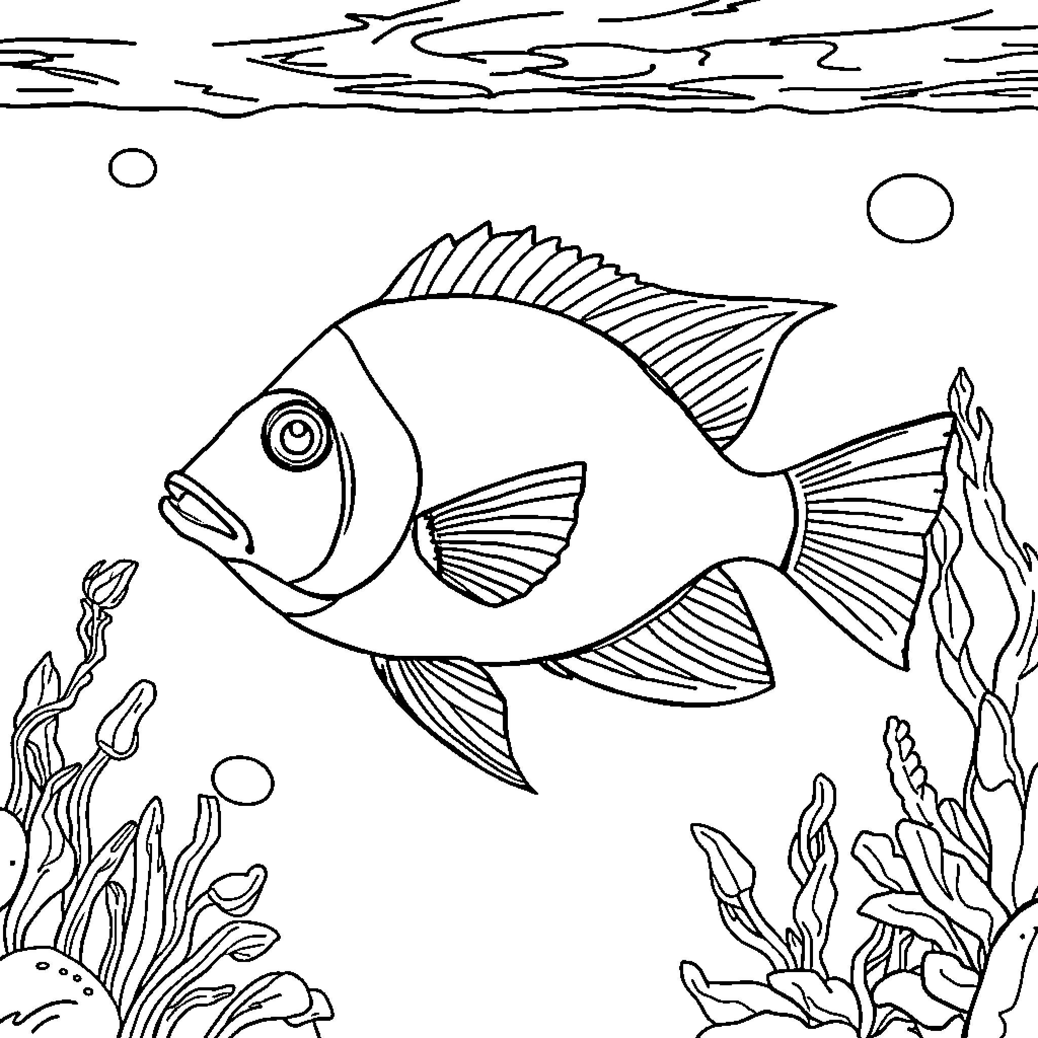 Angelfish swimming in an underwater scene Coloring Page (free black-and-white line drawing printable PDF for all, from beginners to advanced learners, including children, teens, adults, and seniors)