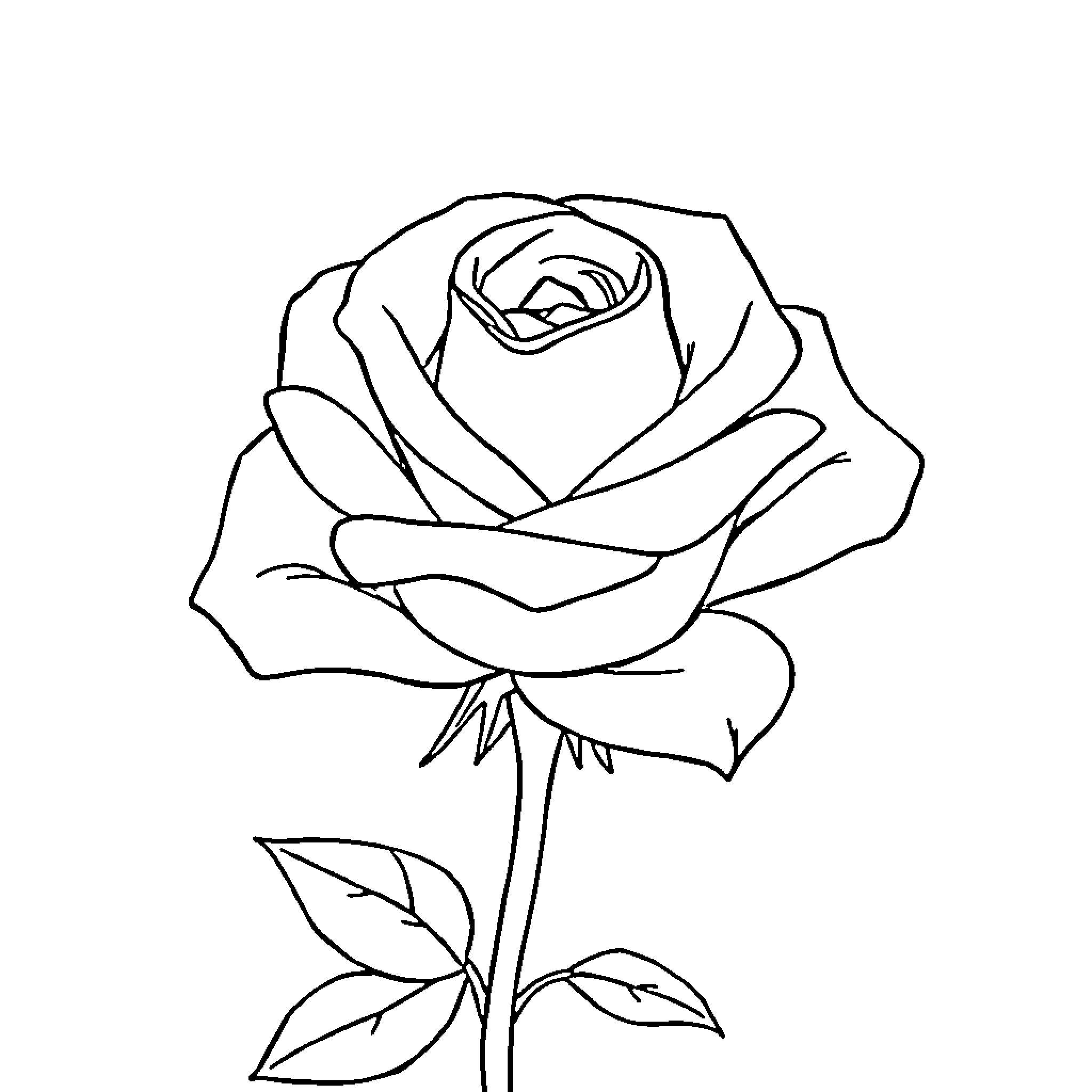 Rose in full bloom with delicate petals Coloring Page (free black-and-white line drawing printable PDF for all, from beginners to advanced learners, including children, teens, adults, and seniors)