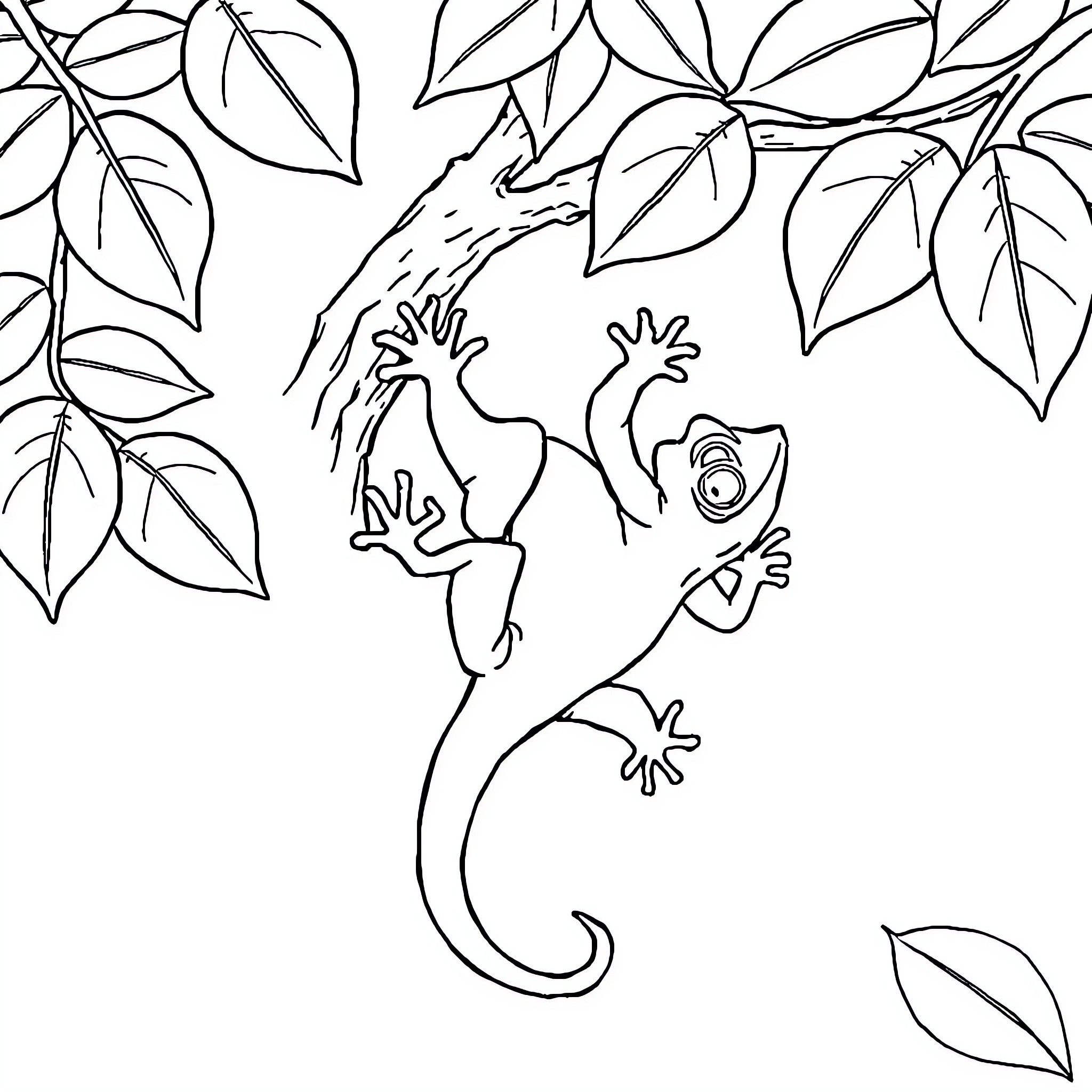 Gecko climbing among leaves Coloring Page (free black-and-white line drawing printable PDF for all, from beginners to advanced learners, including children, teens, adults, and seniors)