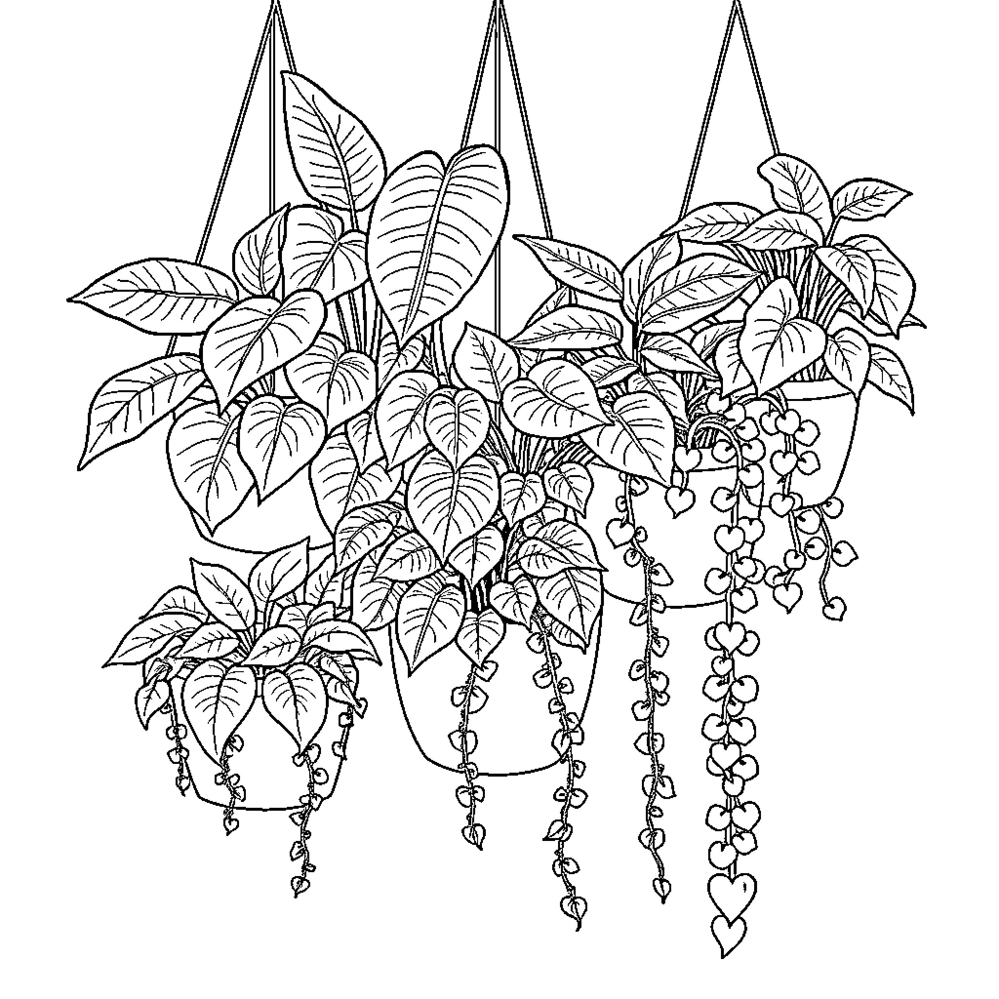 Houseplant with hanging vines and lush foliage Coloring Page (free black-and-white line drawing printable PDF for all, from beginners to advanced learners, including children, teens, adults, and seniors)
