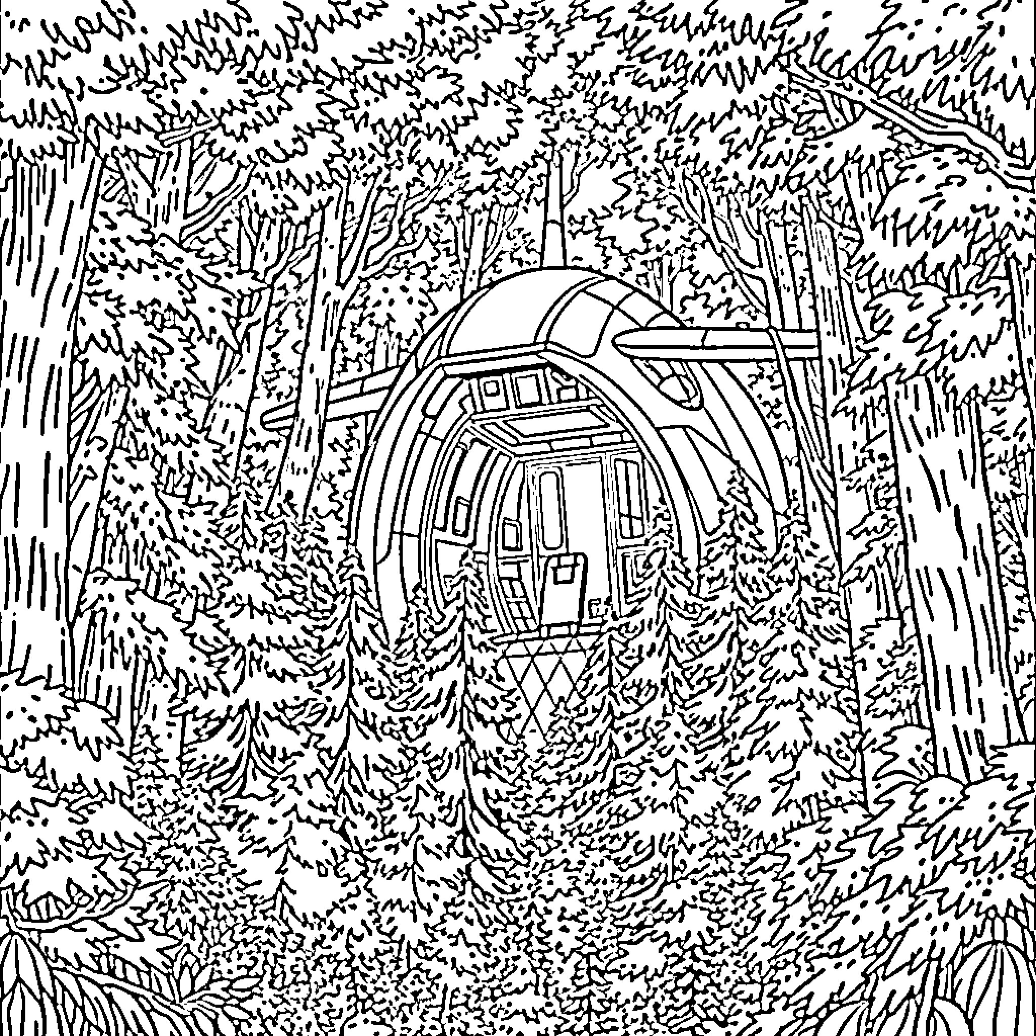 Porte Avion in Lush Woodland Landscape Coloring Page (free black-and-white line drawing printable PDF for all, from beginners to advanced learners, including children, teens, adults, and seniors)