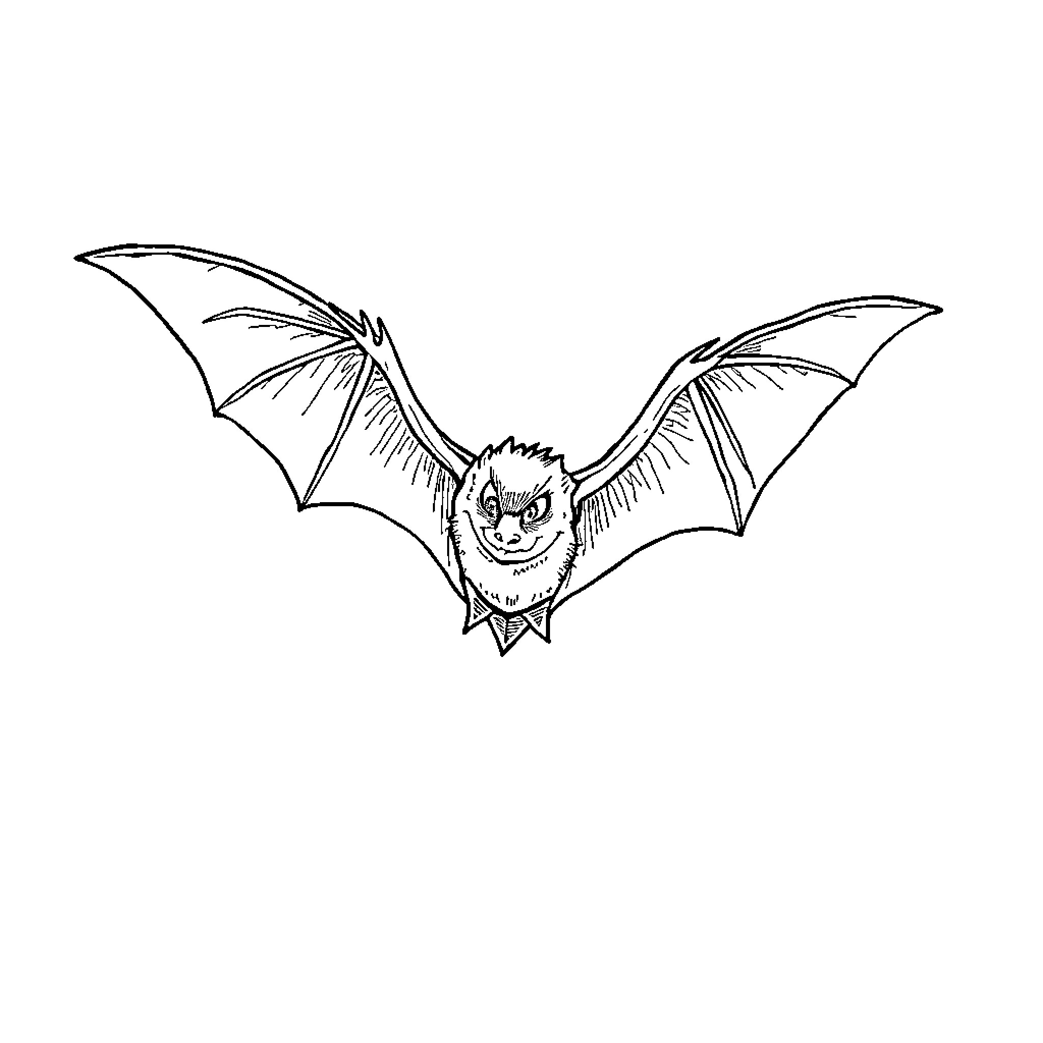 Bat spreading its wings in flight Coloring Page (free black-and-white line drawing printable PDF for all, from beginners to advanced learners, including children, teens, adults, and seniors)