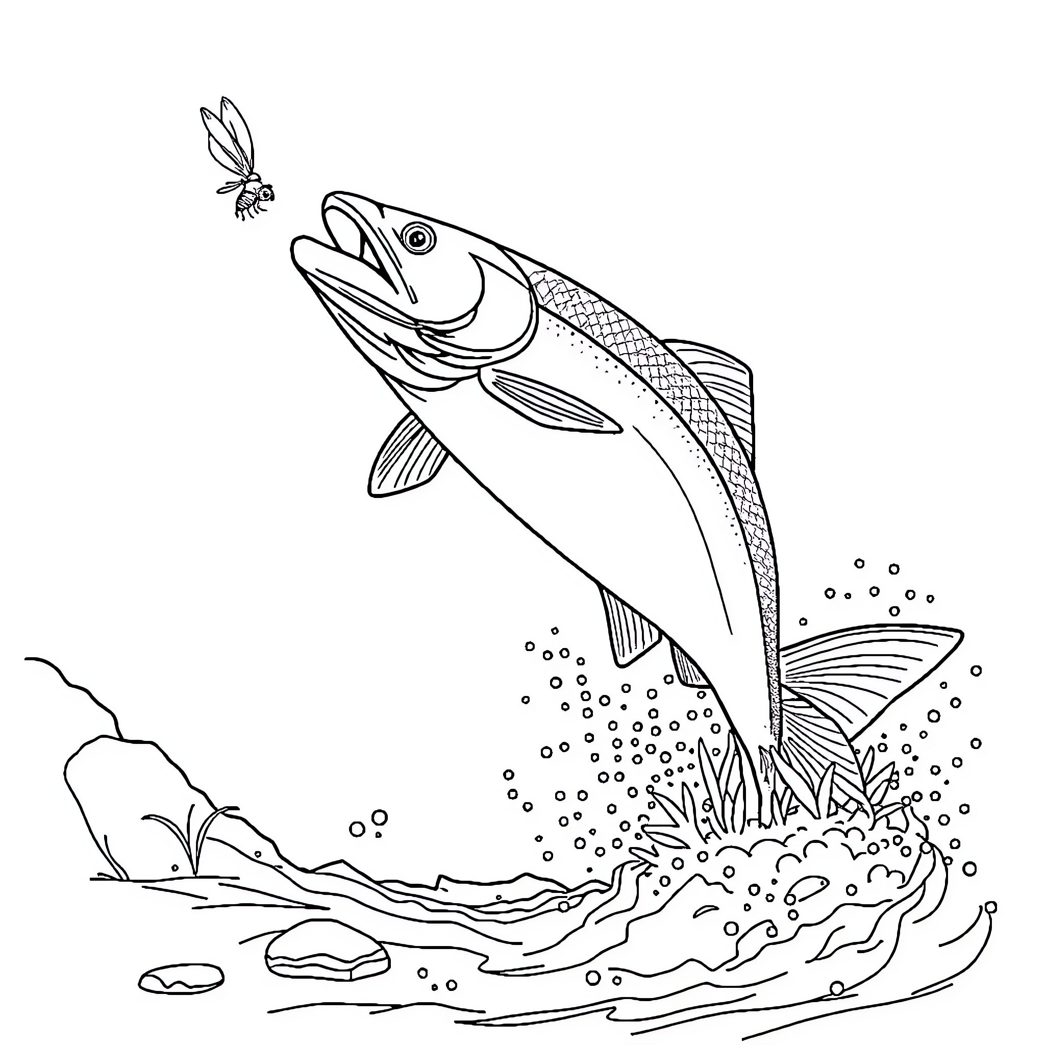 Salmon leaping through the water with a dragonfly Coloring Page (free black-and-white line drawing printable PDF for all, from beginners to advanced learners, including children, teens, adults, and seniors)