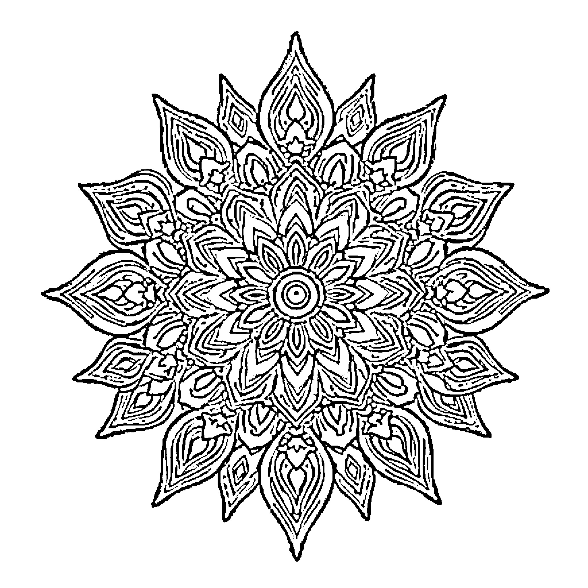 Mandalas Intricate Floral Design Coloring Page (free black-and-white line drawing printable PDF for all, from beginners to advanced learners, including children, teens, adults, and seniors)
