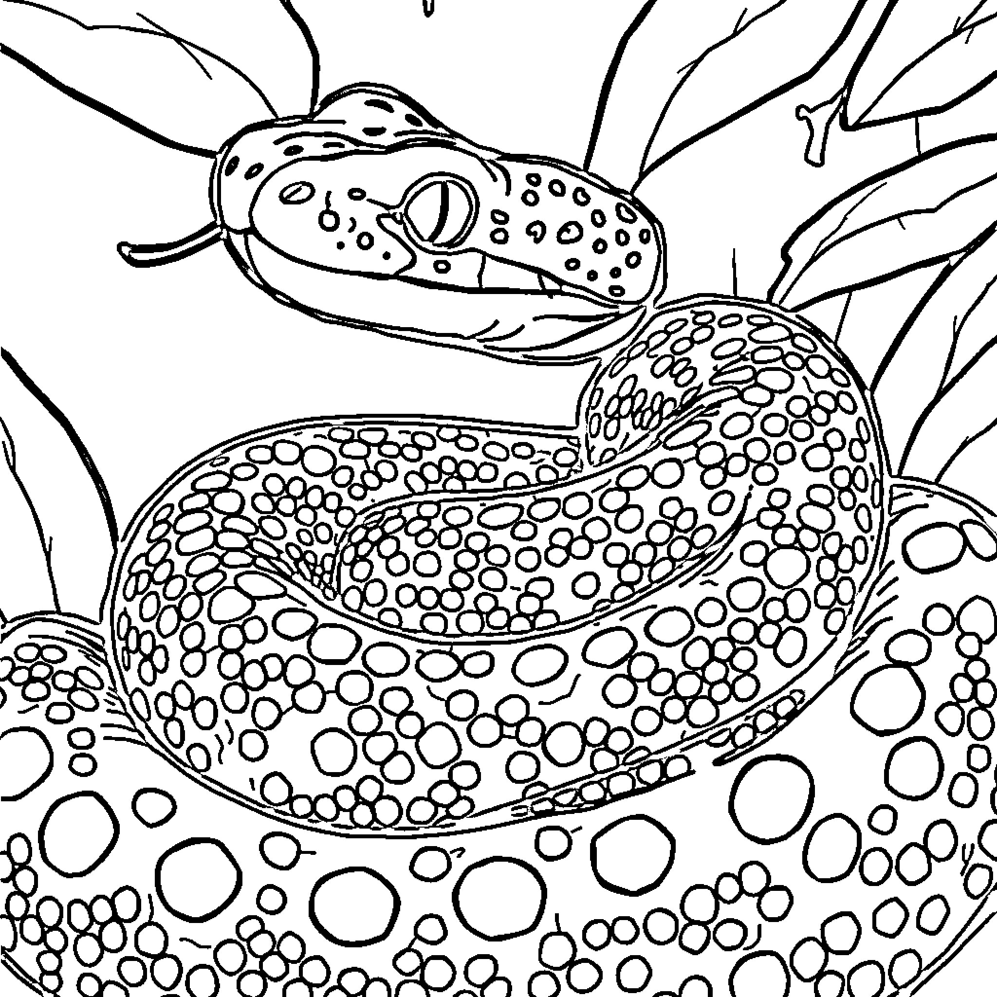 Snake slithering in the vegetation Coloring Page (free black-and-white line drawing printable PDF for all, from beginners to advanced learners, including children, teens, adults, and seniors)