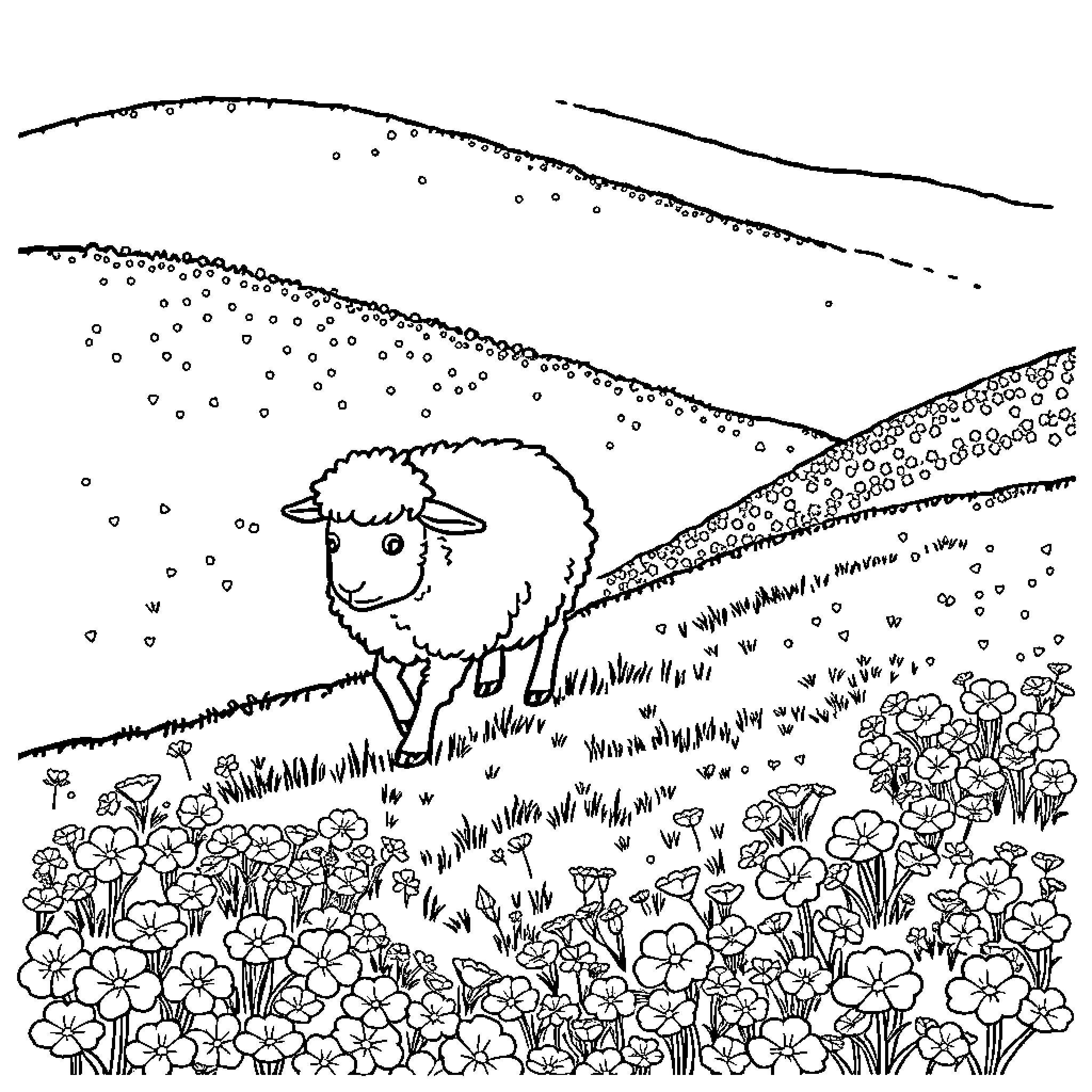 Sheep in a field of flowers Coloring Page (free black-and-white line drawing printable PDF for all, from beginners to advanced learners, including children, teens, adults, and seniors)