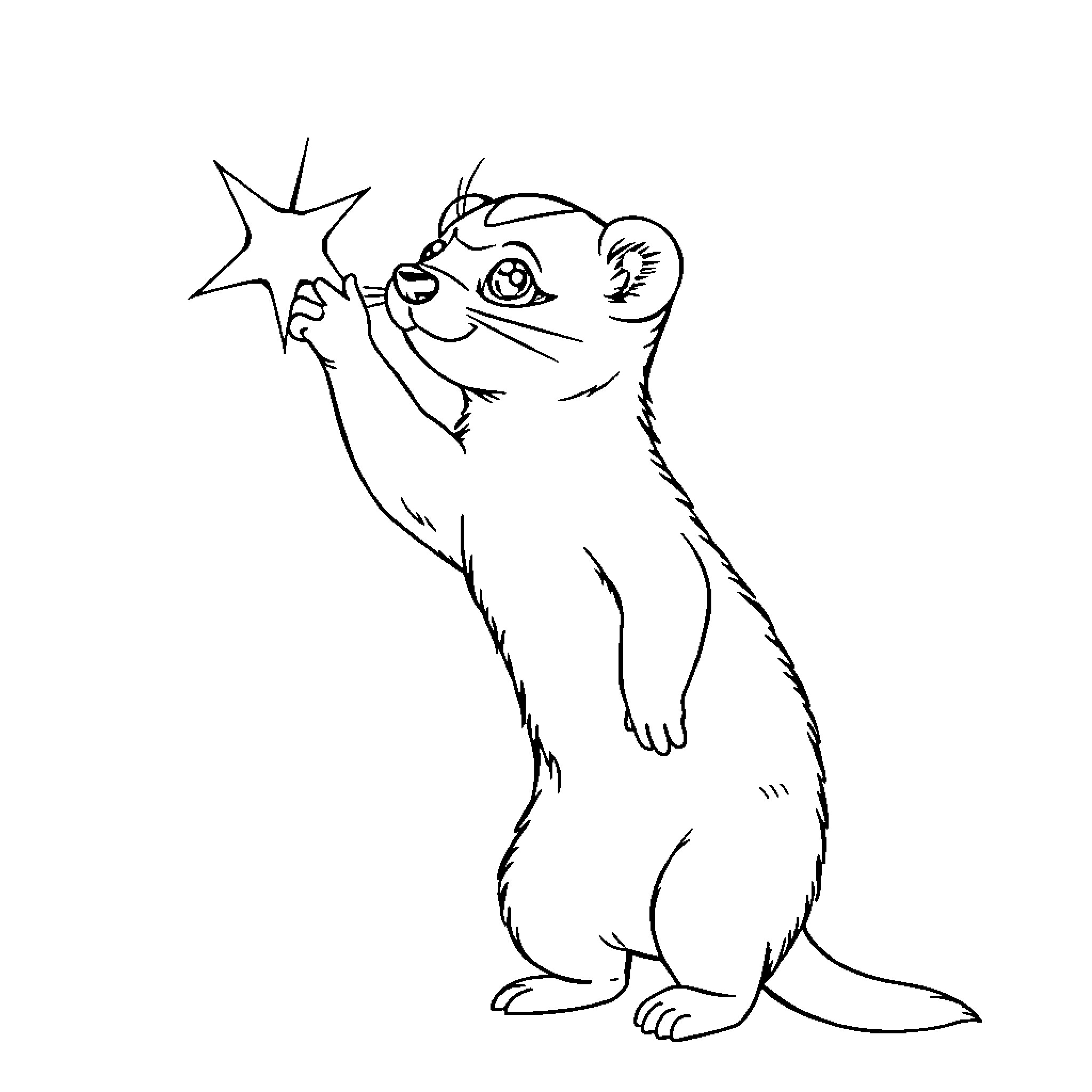 Ferret reaching for a star in delight Coloring Page (free black-and-white line drawing printable PDF for all, from beginners to advanced learners, including children, teens, adults, and seniors)