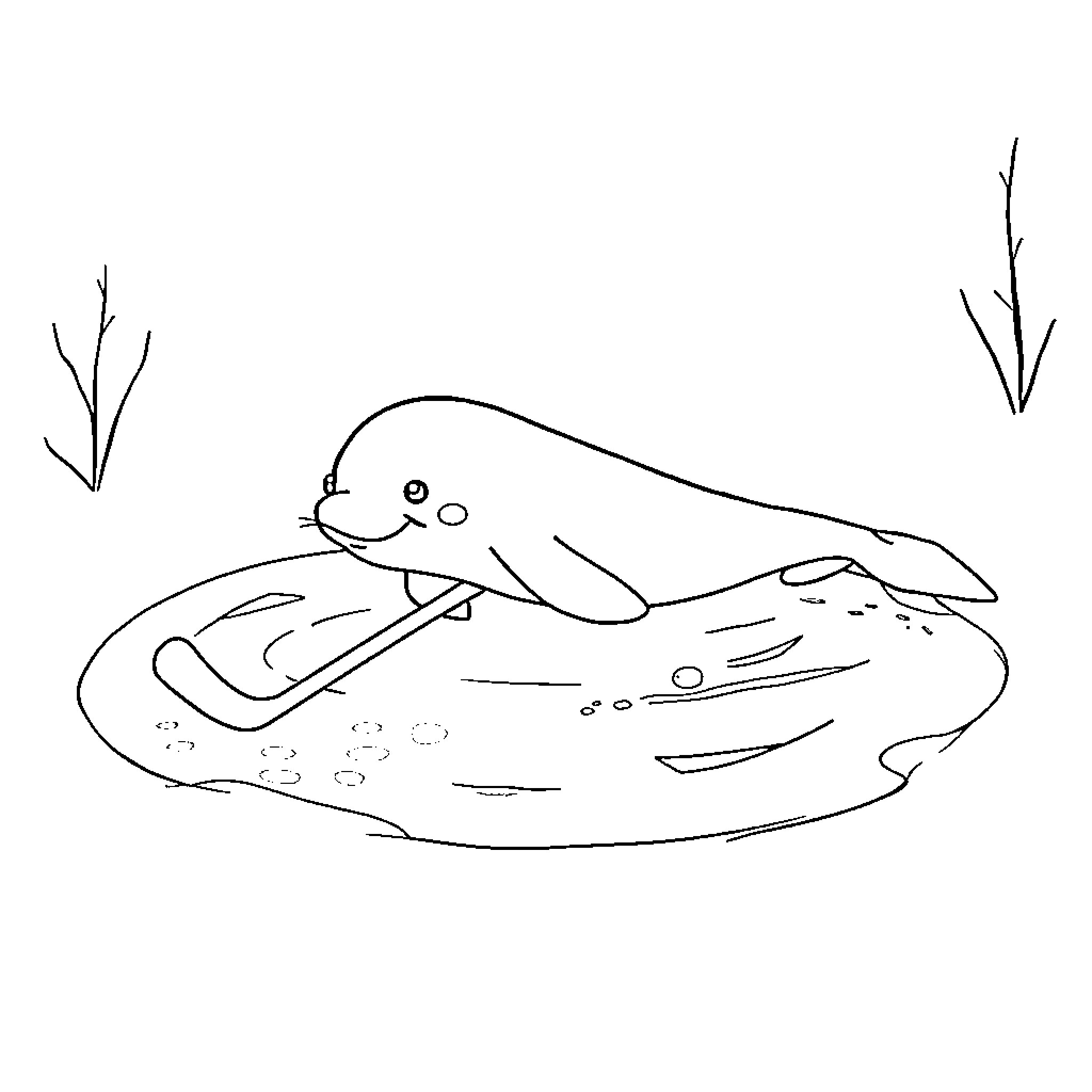 Beluga Whale resting in the water Coloring Page (free black-and-white line drawing printable PDF for all, from beginners to advanced learners, including children, teens, adults, and seniors)