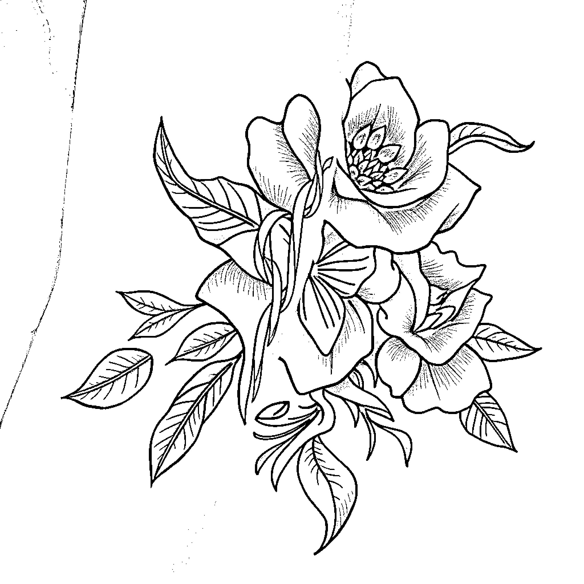 Tattoo of Detailed Flower Bouquet Coloring Page (free black-and-white line drawing printable PDF for all, from beginners to advanced learners, including children, teens, adults, and seniors)