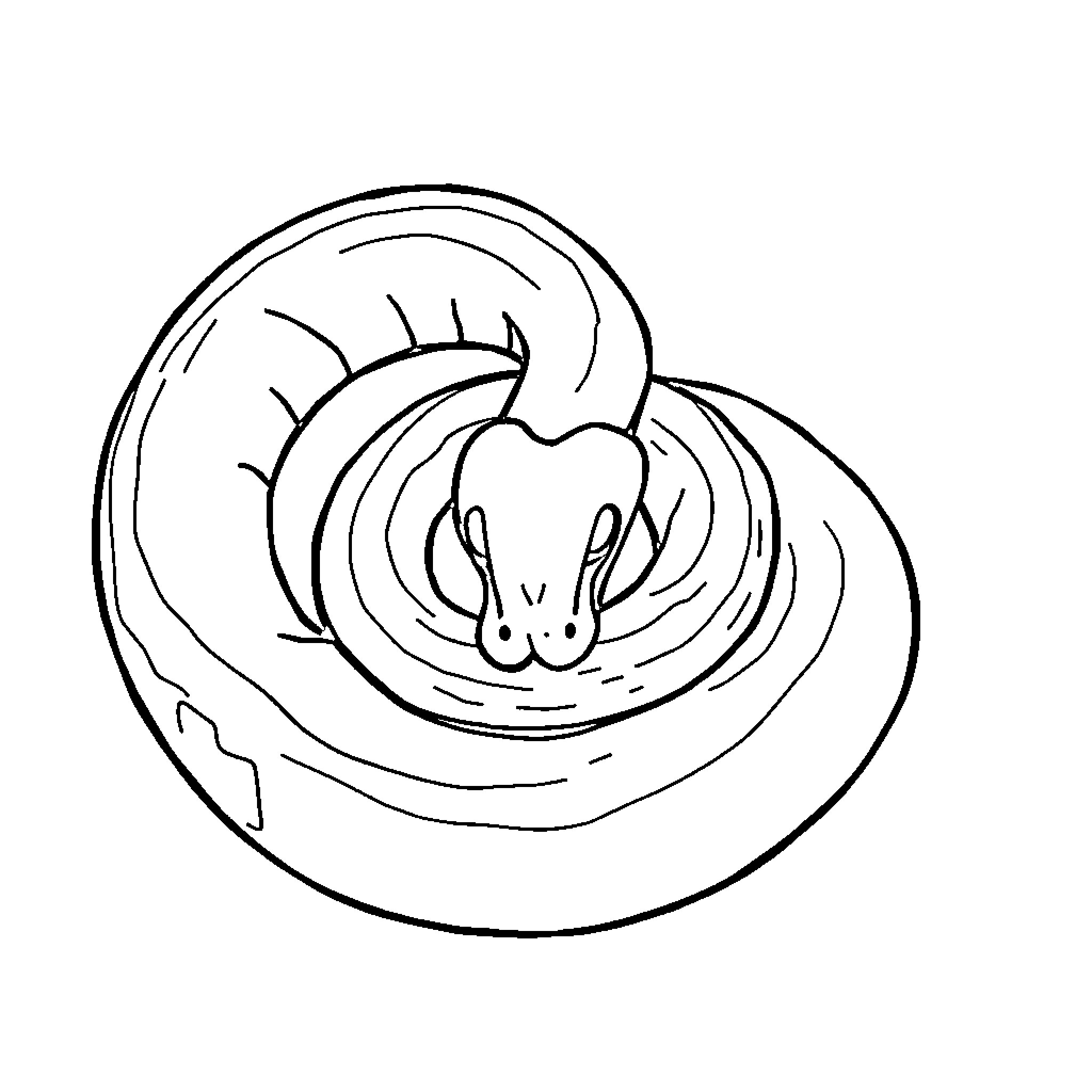 Python coiled and resting in a cave Coloring Page (free black-and-white line drawing printable PDF for all, from beginners to advanced learners, including children, teens, adults, and seniors)