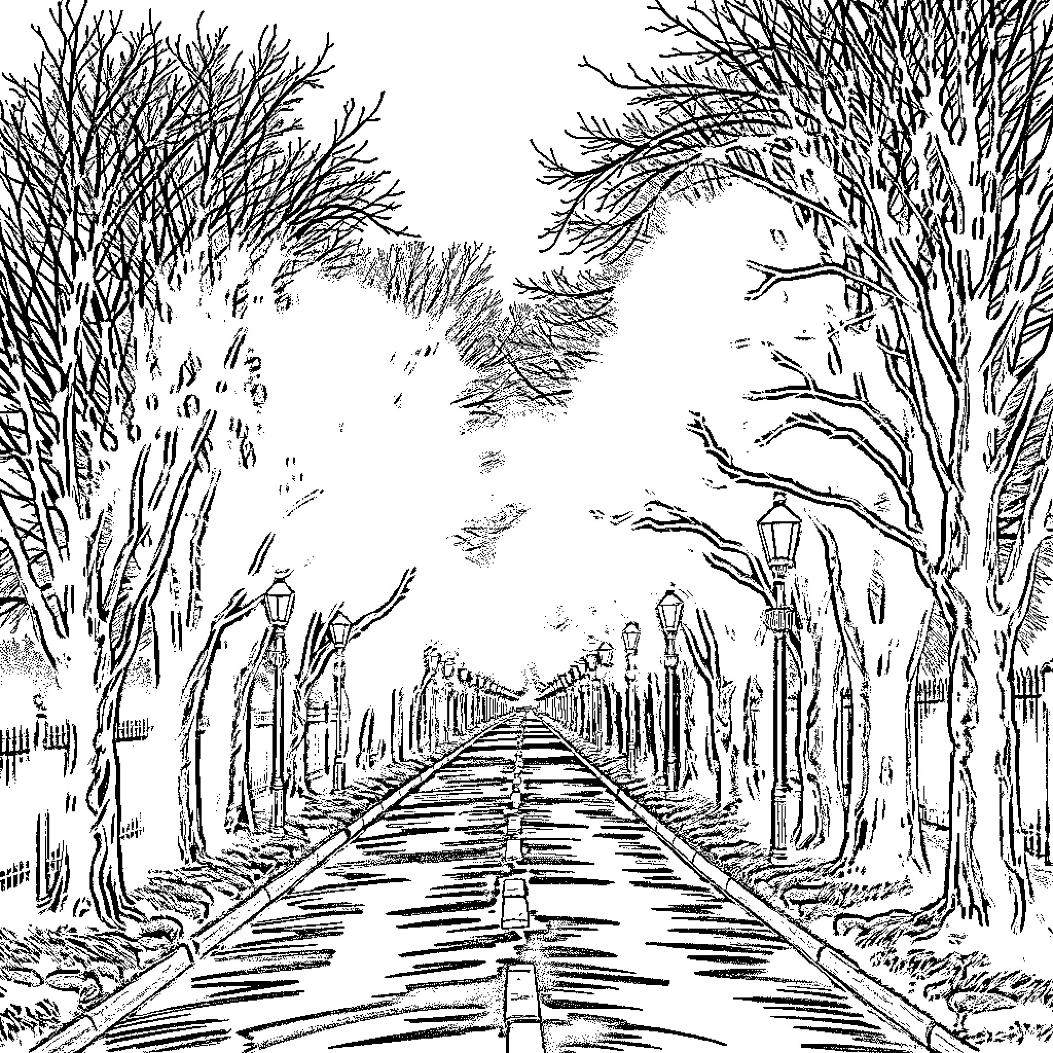 Mystery Path in Wintry Woodland Coloring Page (free black-and-white line drawing printable PDF for all, from beginners to advanced learners, including children, teens, adults, and seniors)