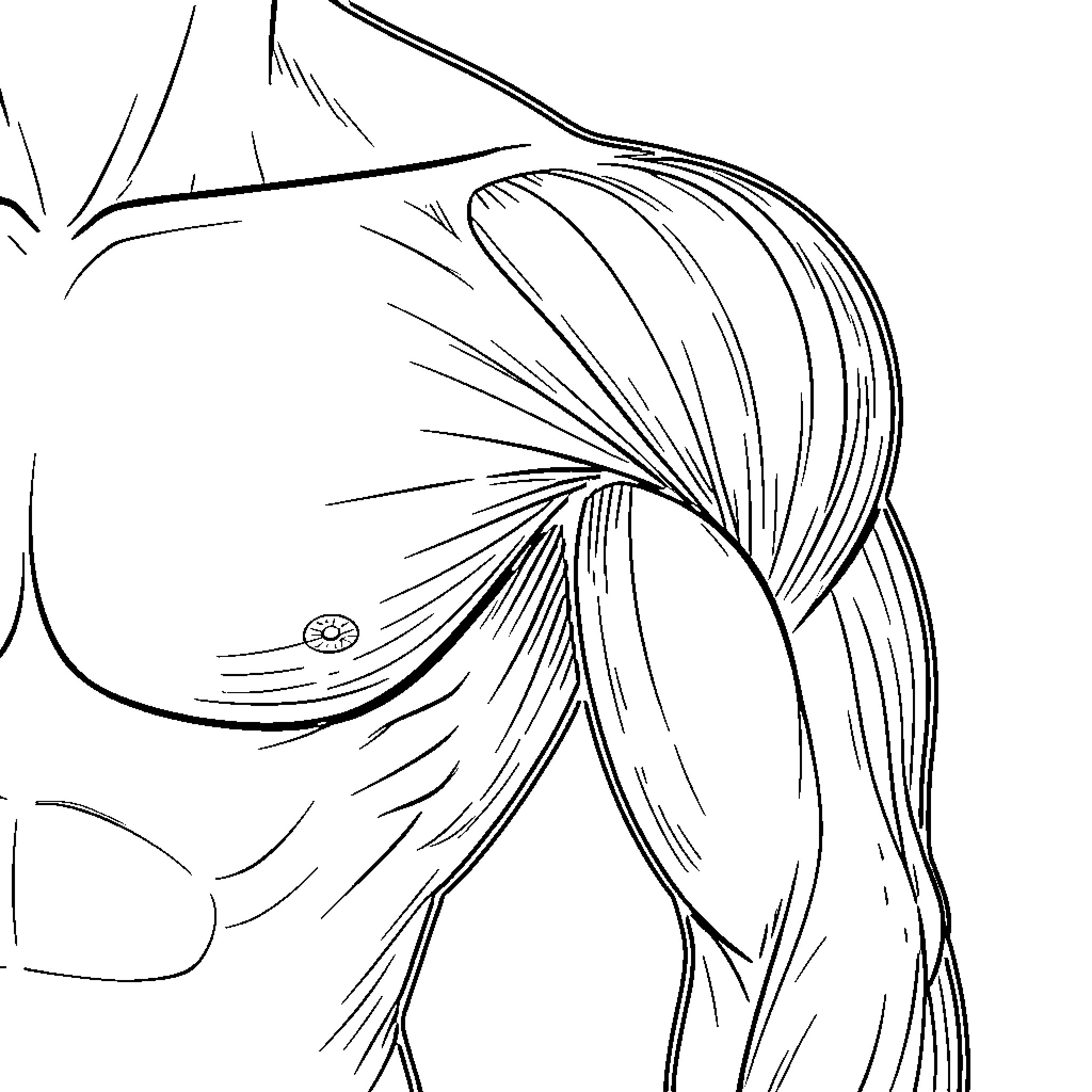 Shoulder-length hair flowing in the wind Coloring Page (free black-and-white line drawing printable PDF for all, from beginners to advanced learners, including children, teens, adults, and seniors)