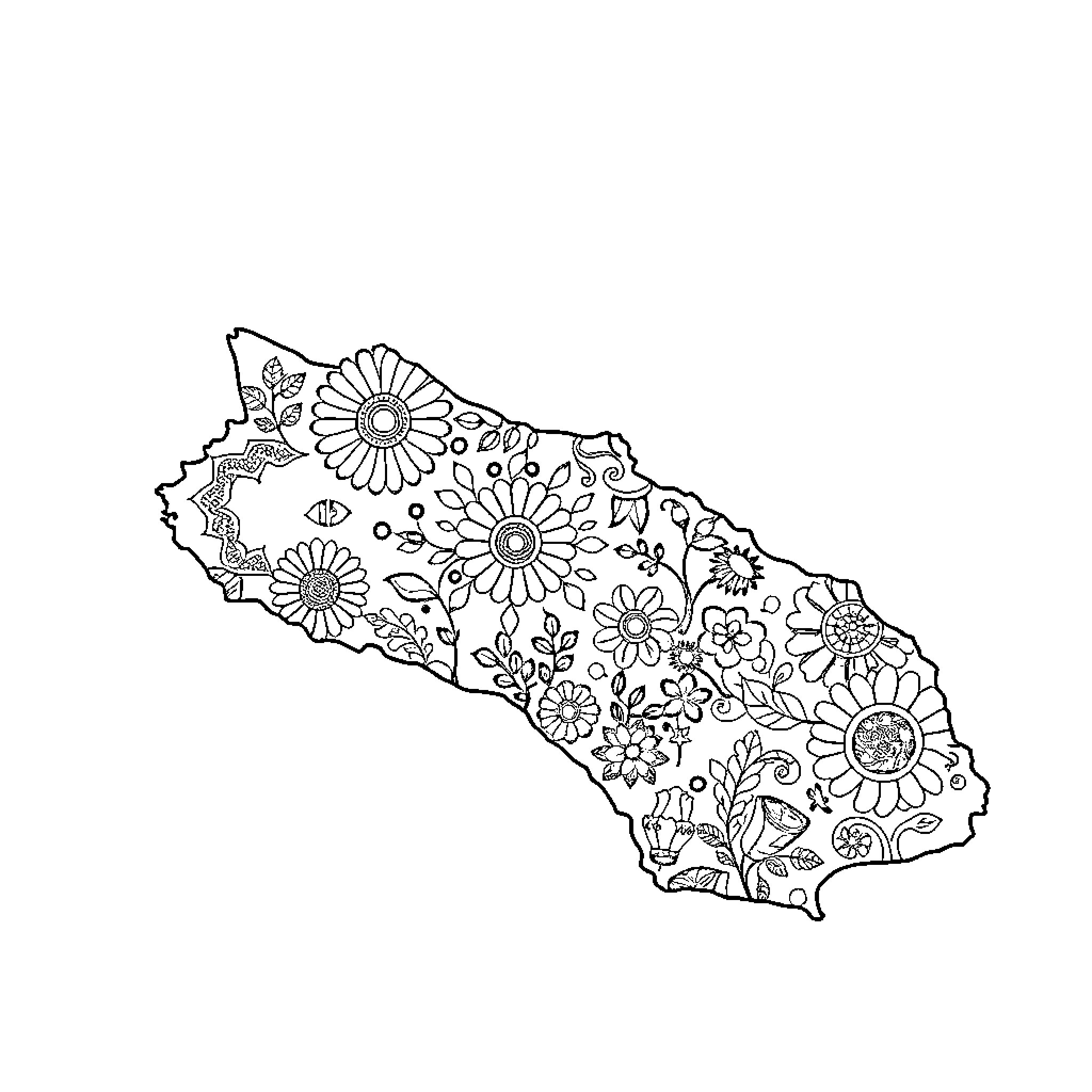 Map of floral patterns and shapes Coloring Page (free black-and-white line drawing printable PDF for all, from beginners to advanced learners, including children, teens, adults, and seniors)