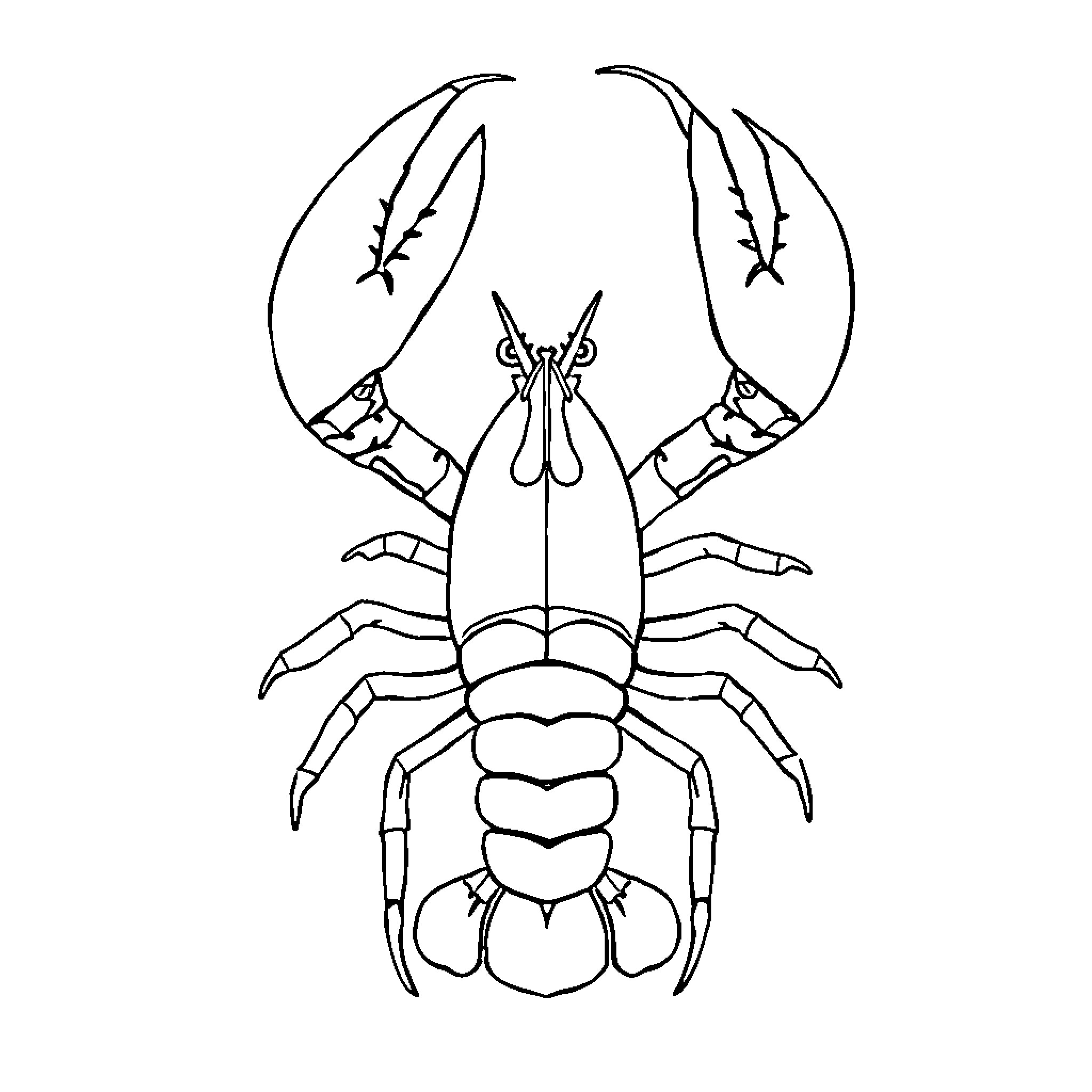 Lobster depicted in line drawing illustration Coloring Page (free black-and-white line drawing printable PDF for all, from beginners to advanced learners, including children, teens, adults, and seniors)