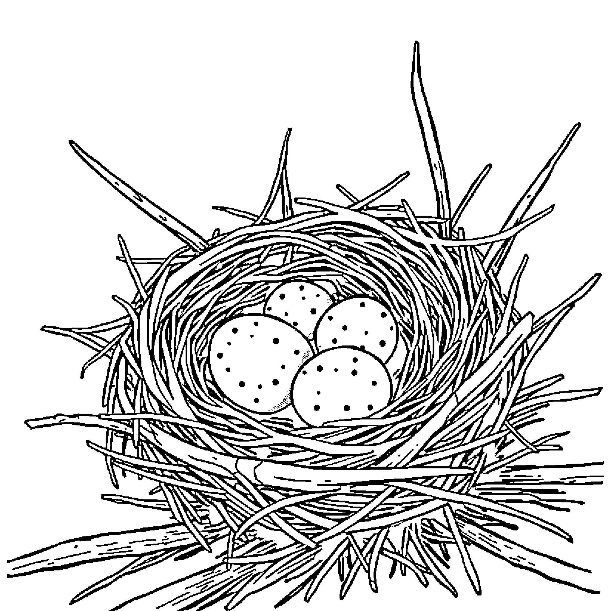 Birdnest with spotted eggs Coloring Page (free black-and-white line drawing printable PDF for all, from beginners to advanced learners, including children, teens, adults, and seniors)
