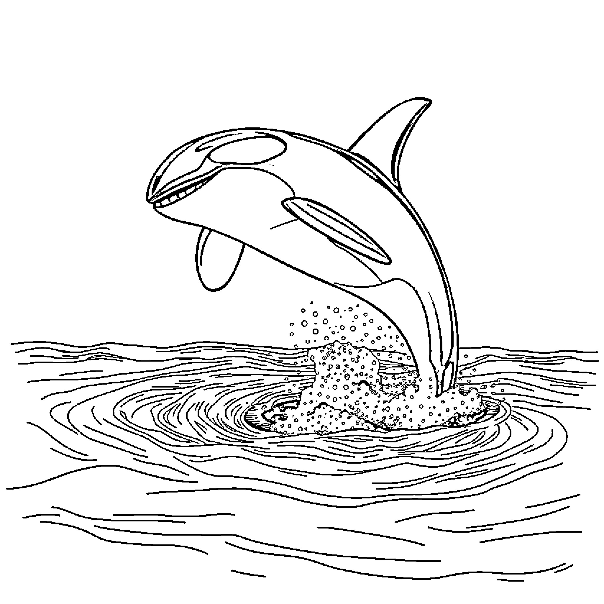 Orca leaping out of the ocean Coloring Page (free black-and-white line drawing printable PDF for all, from beginners to advanced learners, including children, teens, adults, and seniors)