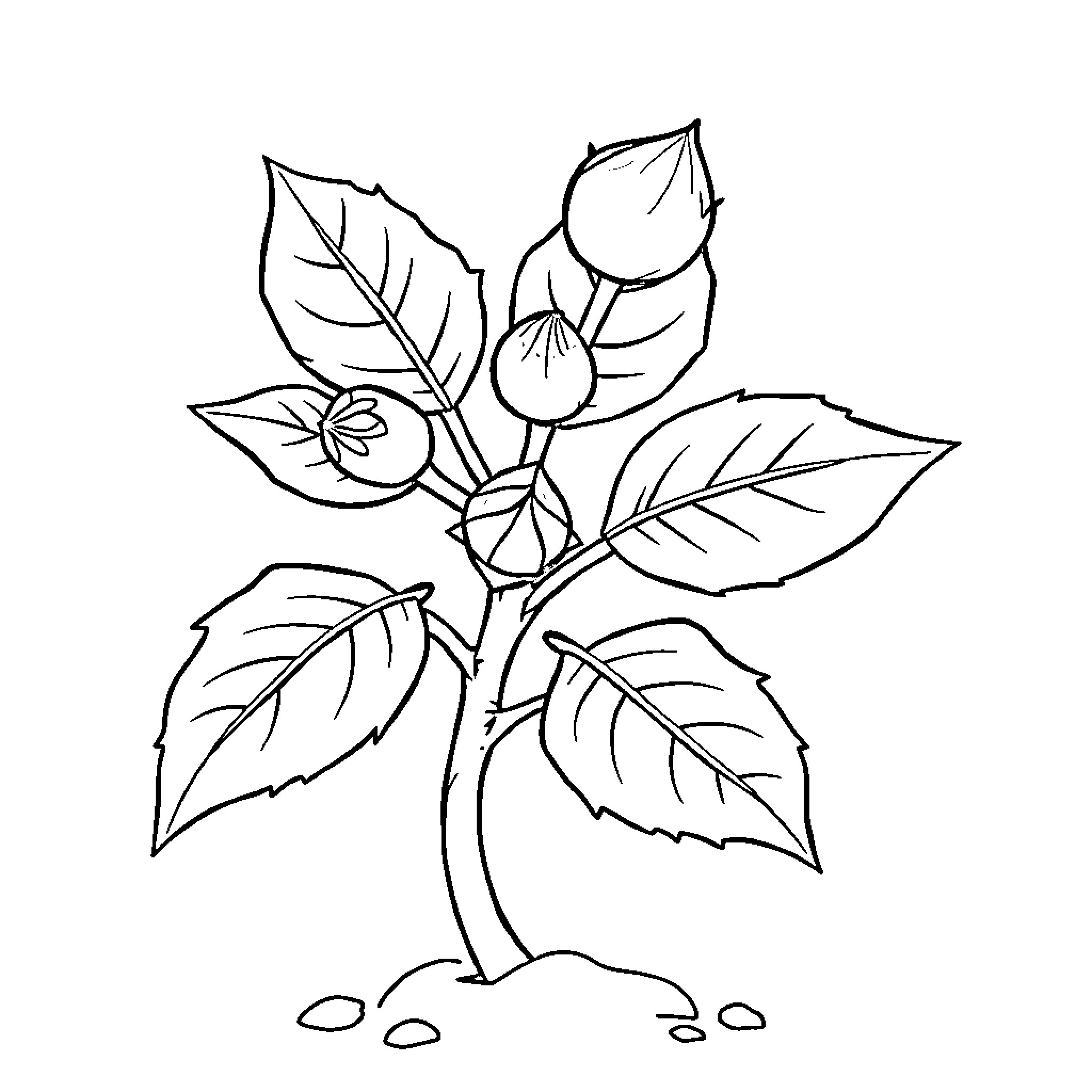 Thorn Plant Sprout Reaching Upwards Coloring Page (free black-and-white line drawing printable PDF for all, from beginners to advanced learners, including children, teens, adults, and seniors)