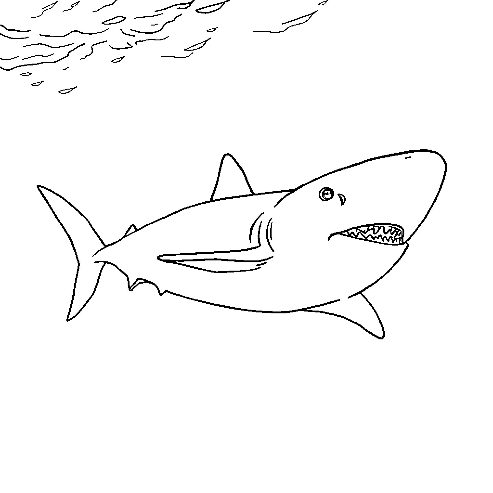 Shark hunting in the ocean Coloring Page (free black-and-white line drawing printable PDF for all, from beginners to advanced learners, including children, teens, adults, and seniors)