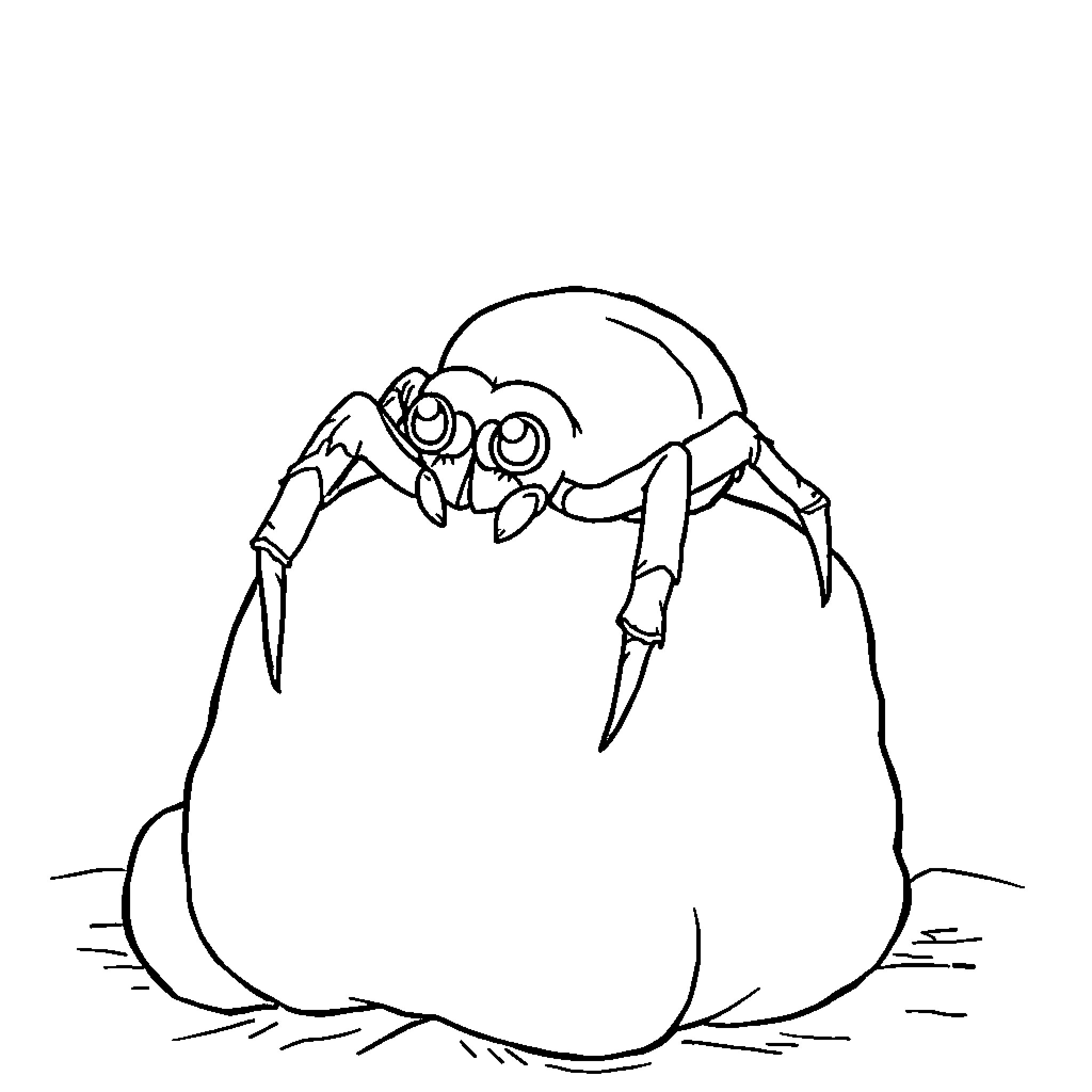 Spider emerging from an egg Coloring Page (free black-and-white line drawing printable PDF for all, from beginners to advanced learners, including children, teens, adults, and seniors)