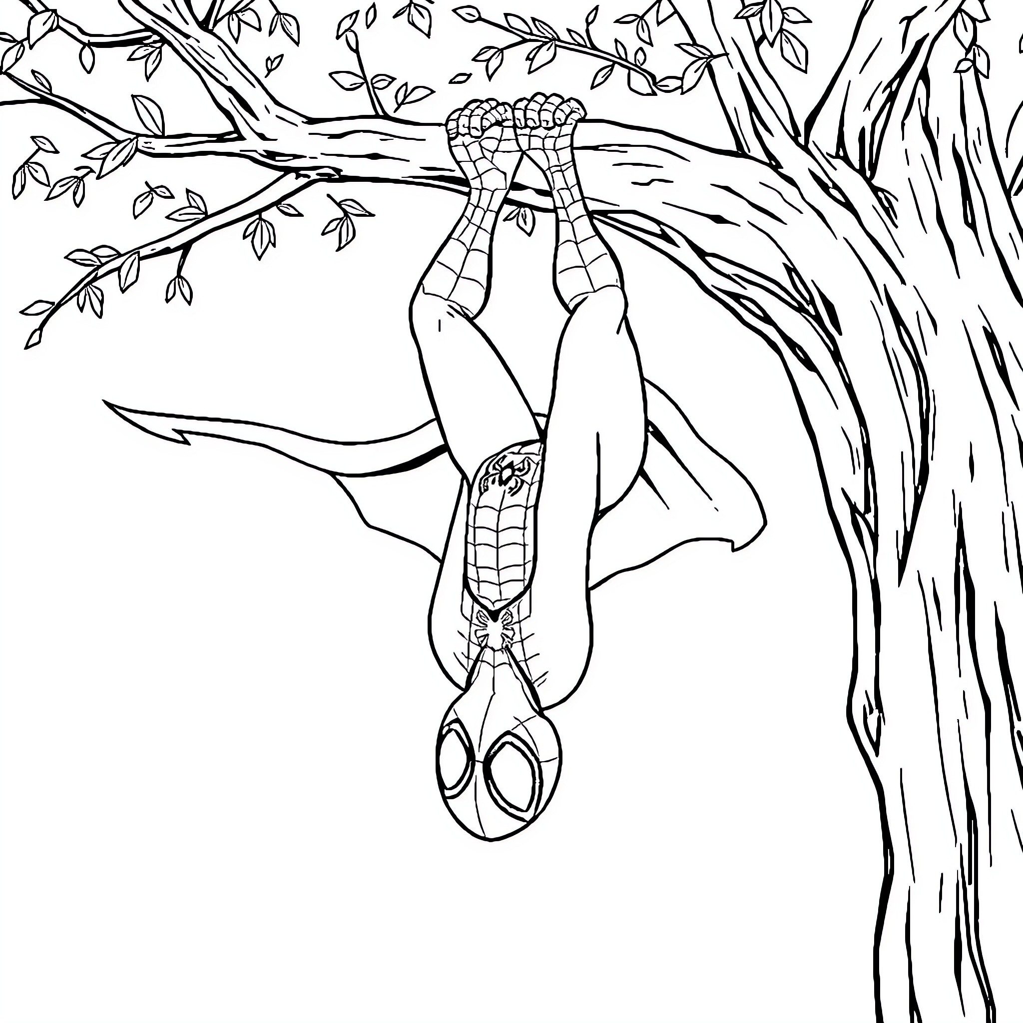 Spider-Man hanging upside down on a tree branch Coloring Page (free black-and-white line drawing printable PDF for all, from beginners to advanced learners, including children, teens, adults, and seniors)
