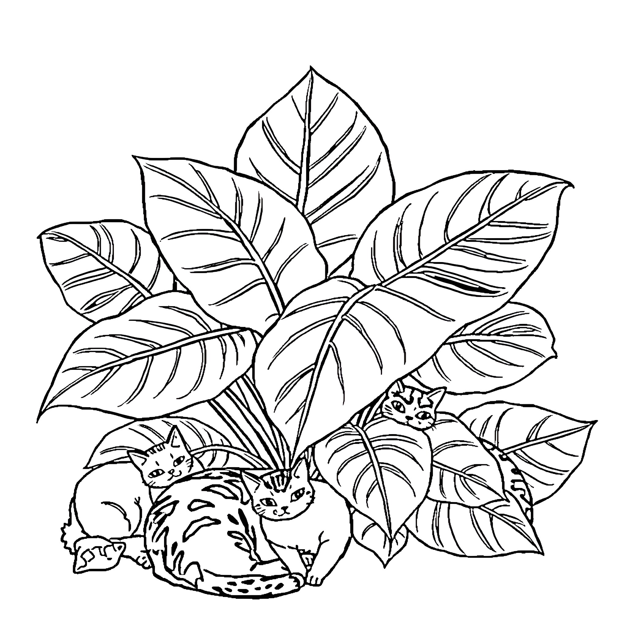 Monstera leaves with hidden kittens Coloring Page (free black-and-white line drawing printable PDF for all, from beginners to advanced learners, including children, teens, adults, and seniors)