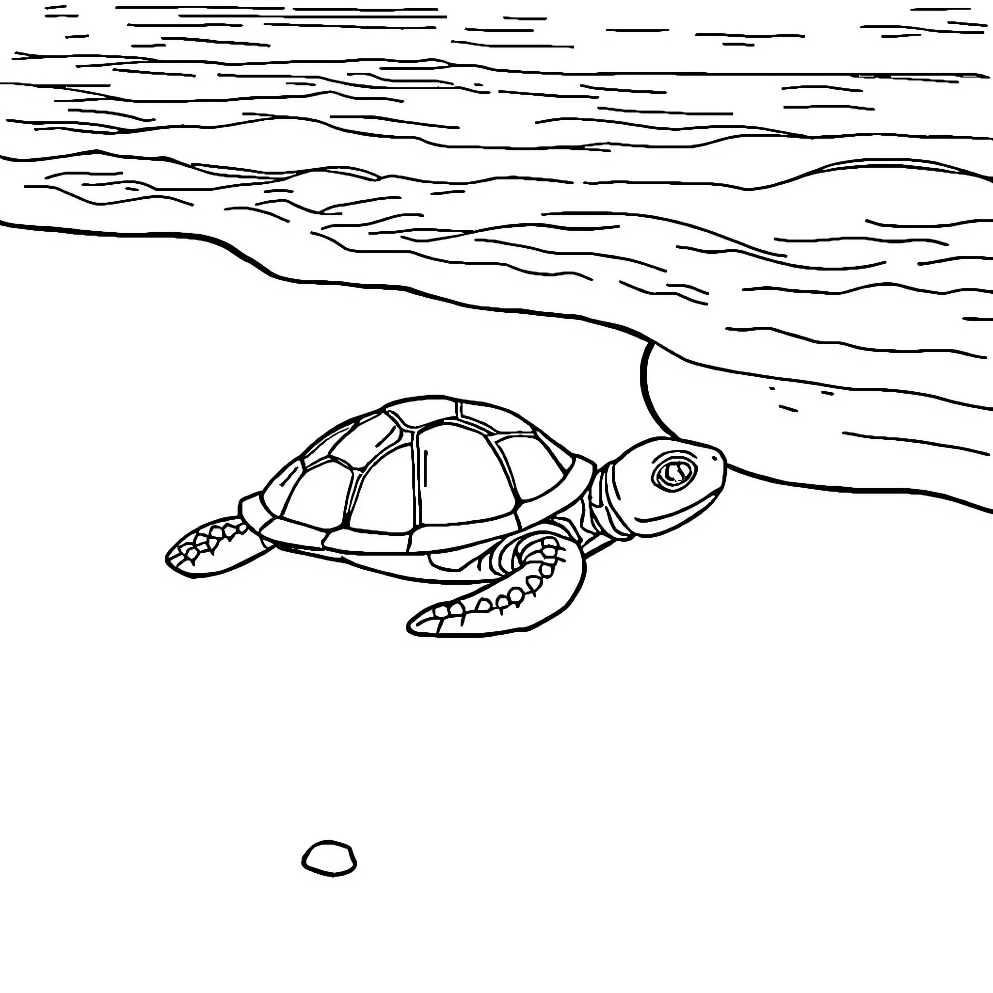 Turtle swimming in the sea Coloring Page (free black-and-white line drawing printable PDF for all, from beginners to advanced learners, including children, teens, adults, and seniors)