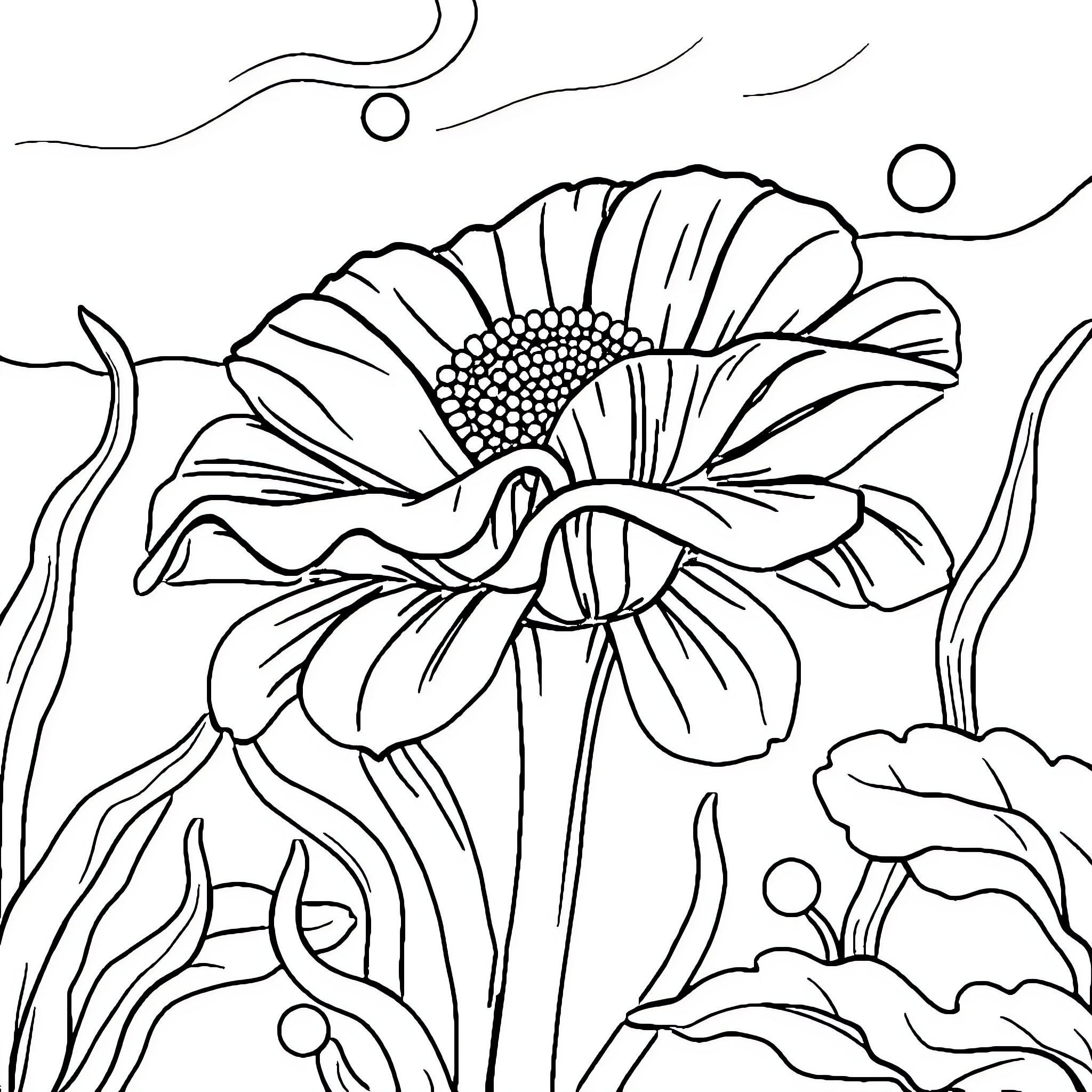 Anemone flower blooming amidst swirling shapes Coloring Page (free black-and-white line drawing printable PDF for all, from beginners to advanced learners, including children, teens, adults, and seniors)