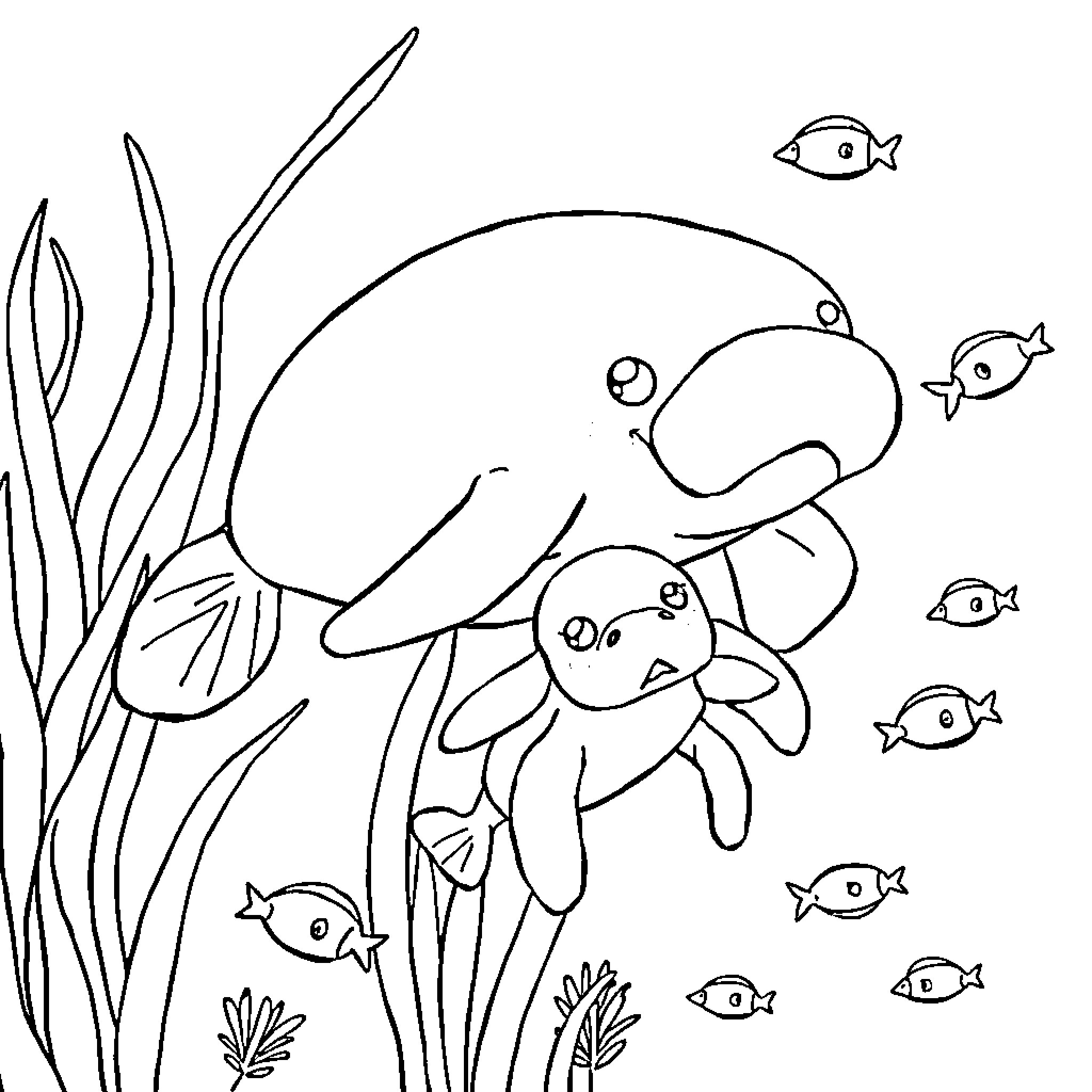 Manatee relaxing among friendly sea creatures Coloring Page (free black-and-white line drawing printable PDF for all, from beginners to advanced learners, including children, teens, adults, and seniors)