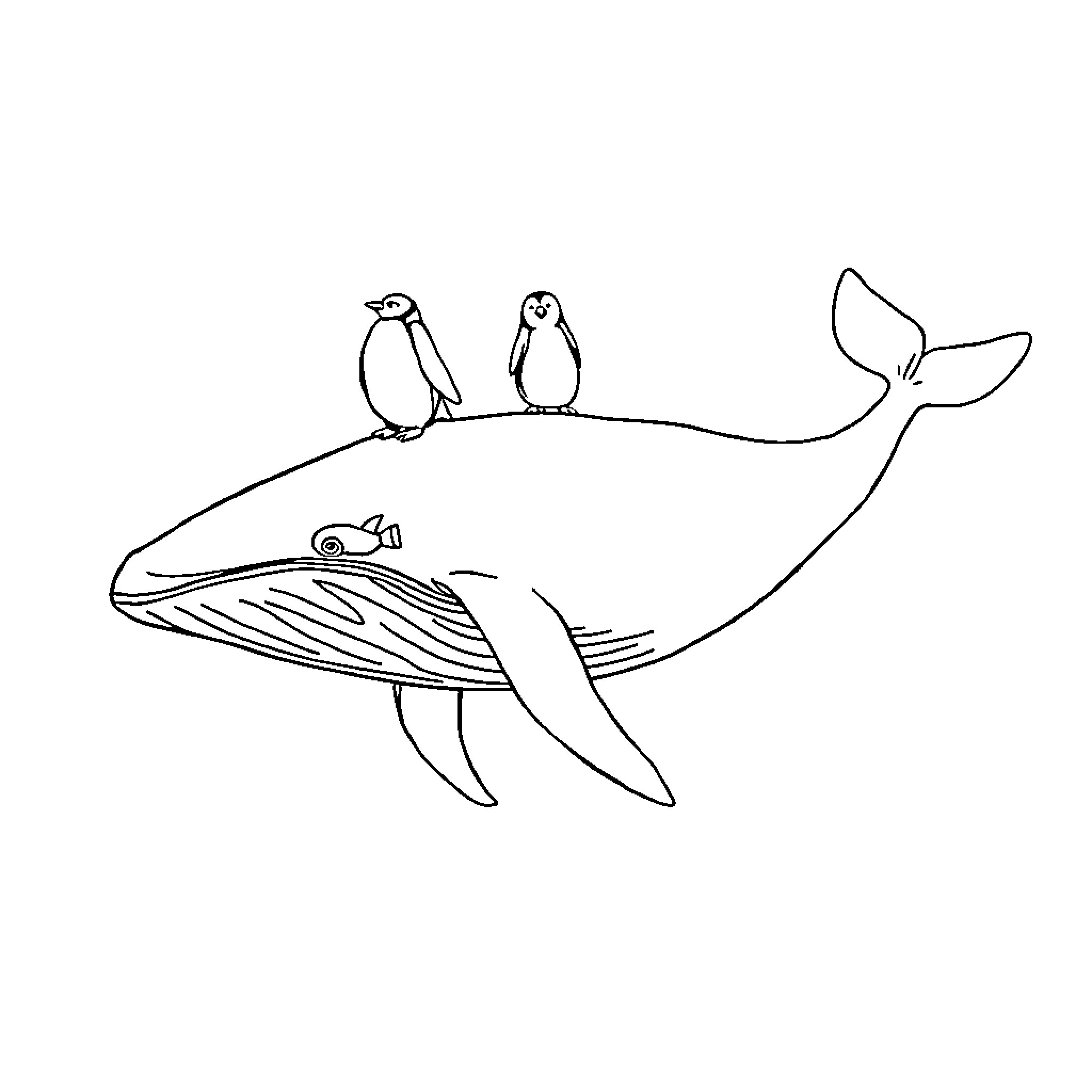 Penguin friends riding a whale Coloring Page (free black-and-white line drawing printable PDF for all, from beginners to advanced learners, including children, teens, adults, and seniors)