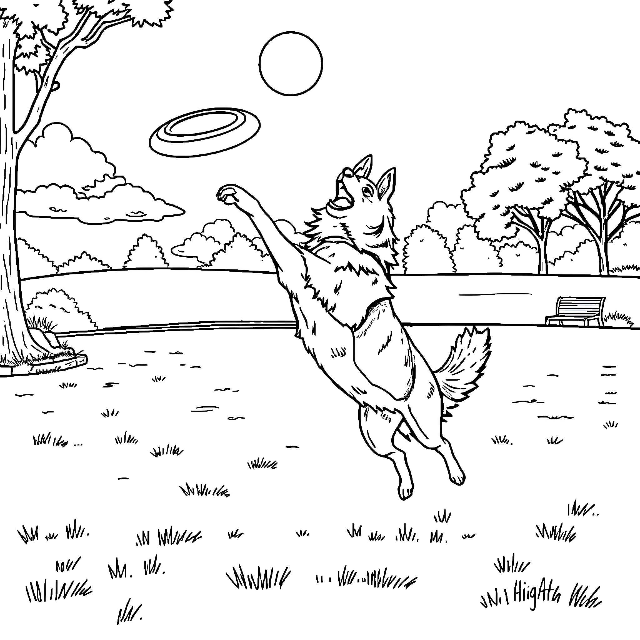 Border Collie chasing frisbee in the park Coloring Page (free black-and-white line drawing printable PDF for all, from beginners to advanced learners, including children, teens, adults, and seniors)