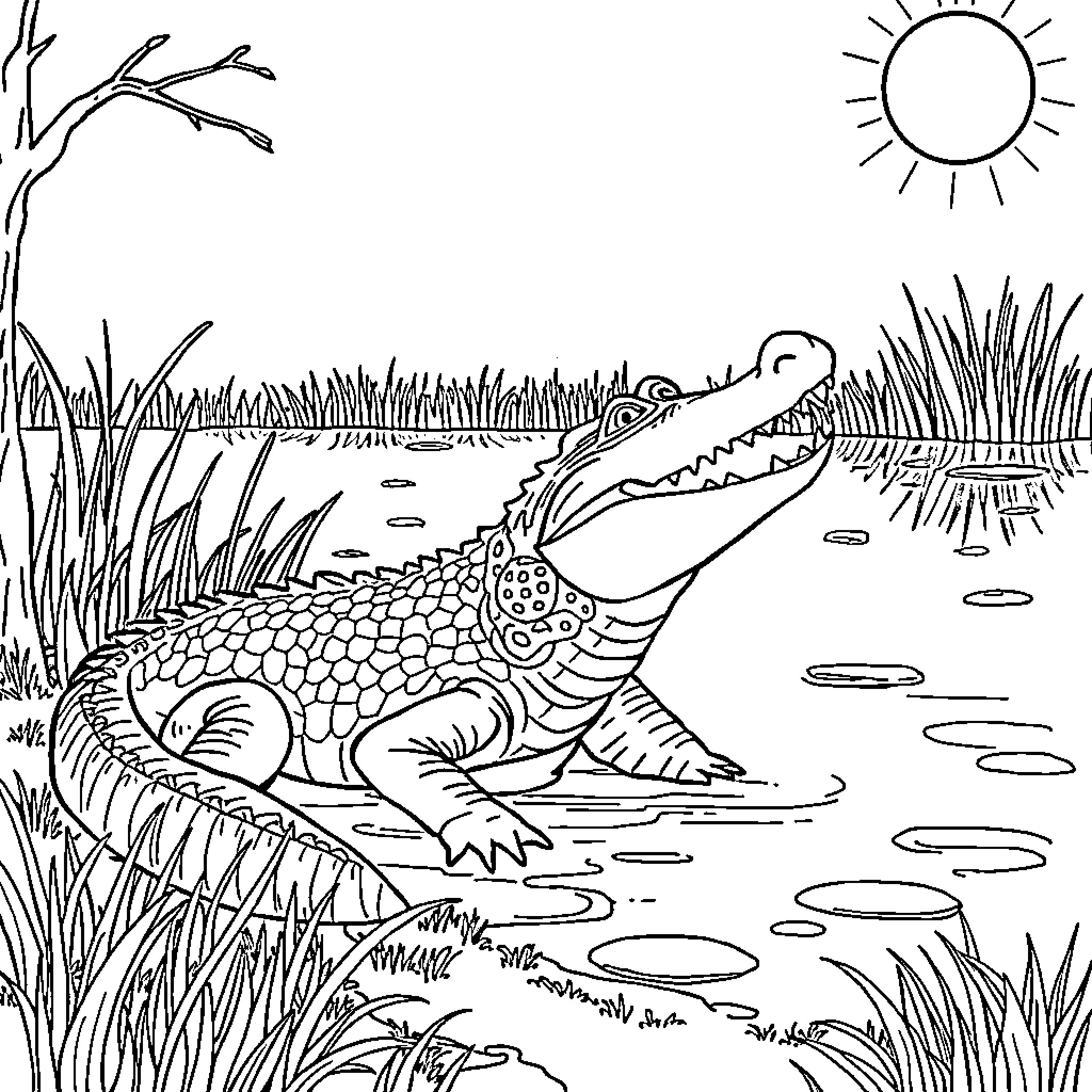 Alligator relaxing in the swamp under the sun Coloring Page (free black-and-white line drawing printable PDF for all, from beginners to advanced learners, including children, teens, adults, and seniors)