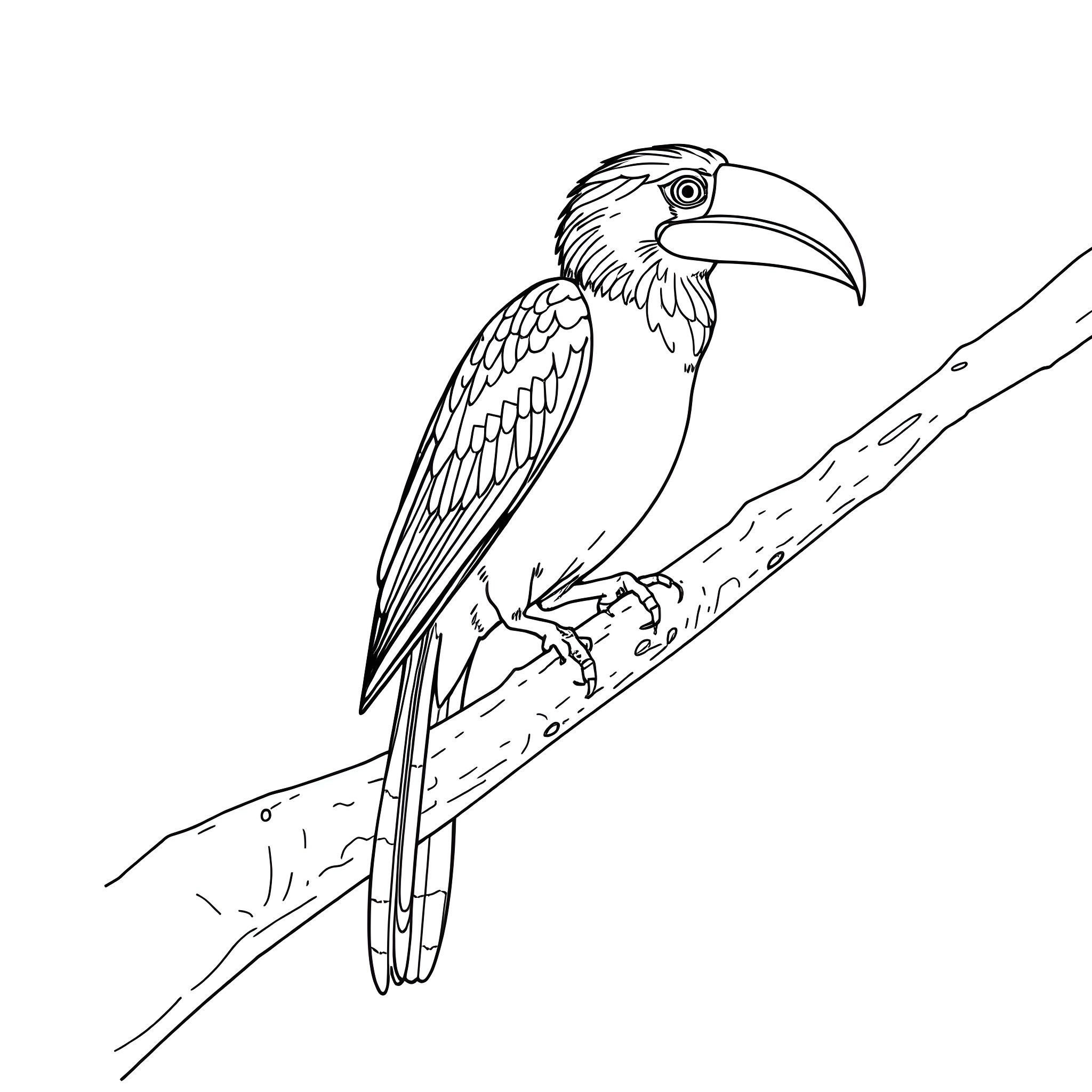 Aulacorhynchus Prasinus perching on a branch Coloring Page (free black-and-white line drawing printable PDF for all, from beginners to advanced learners, including children, teens, adults, and seniors)