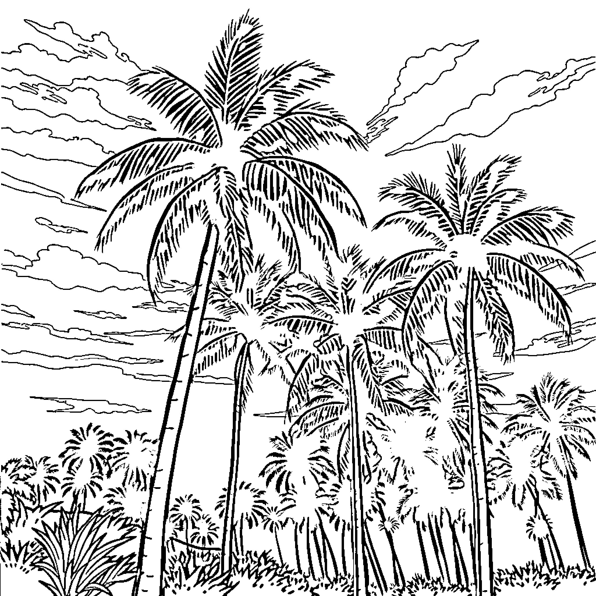 Palm Tree Tropical Island Scenery with Cloudy Sky Coloring Page (free black-and-white line drawing printable PDF for all, from beginners to advanced learners, including children, teens, adults, and seniors)