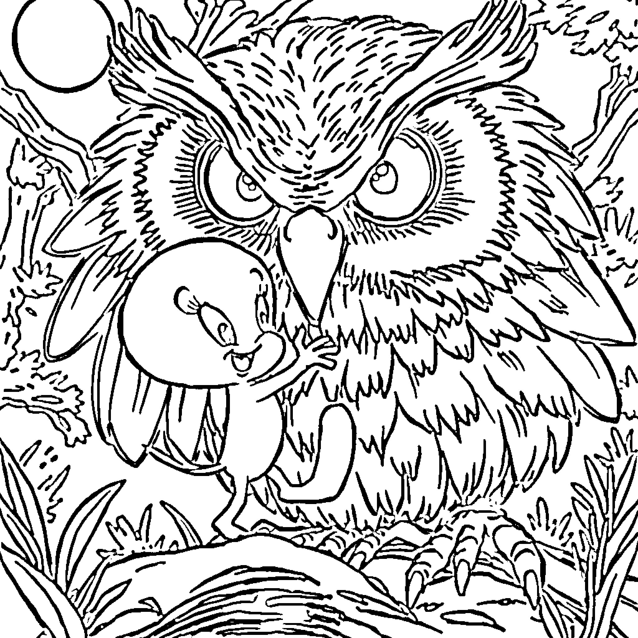Bird with large eyes in the wilderness Coloring Page (free black-and-white line drawing printable PDF for all, from beginners to advanced learners, including children, teens, adults, and seniors)