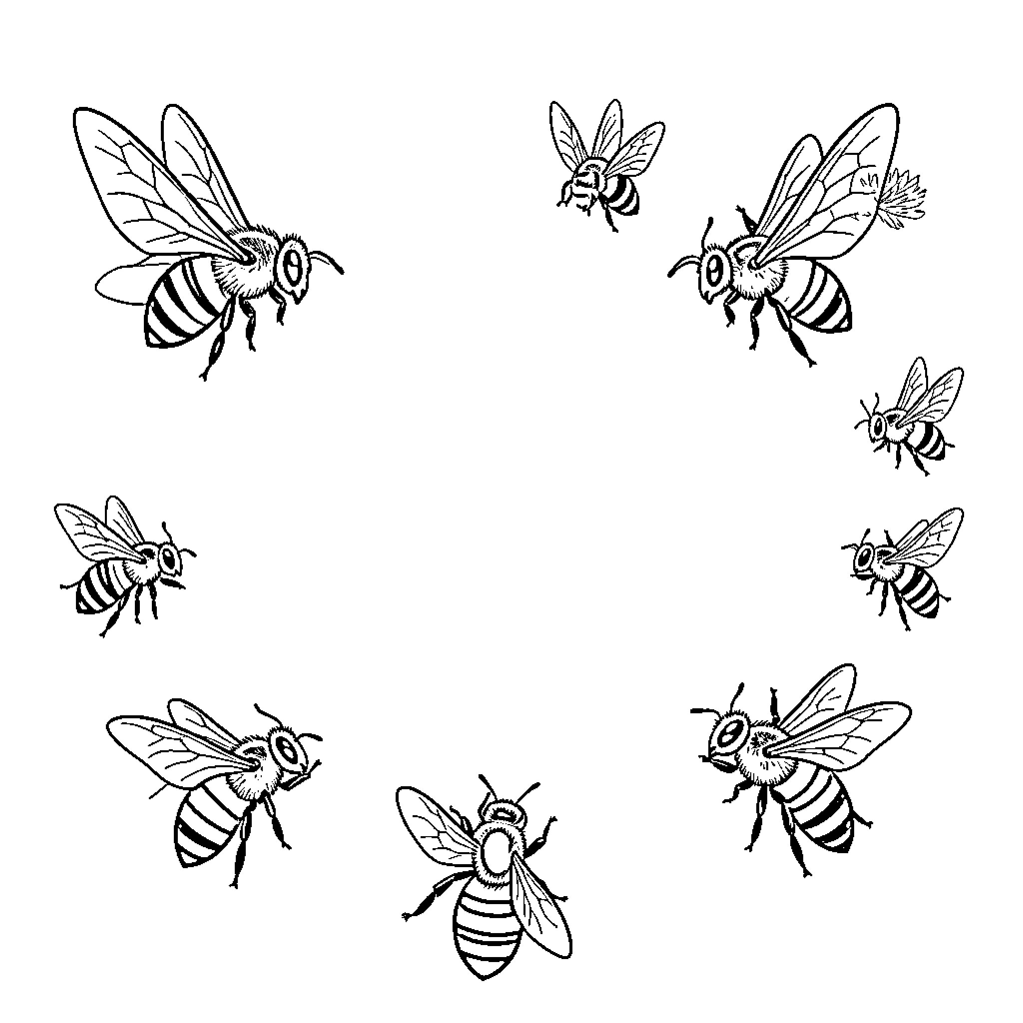 Bee characters flying and hovering in various poses Coloring Page (free black-and-white line drawing printable PDF for all, from beginners to advanced learners, including children, teens, adults, and seniors)
