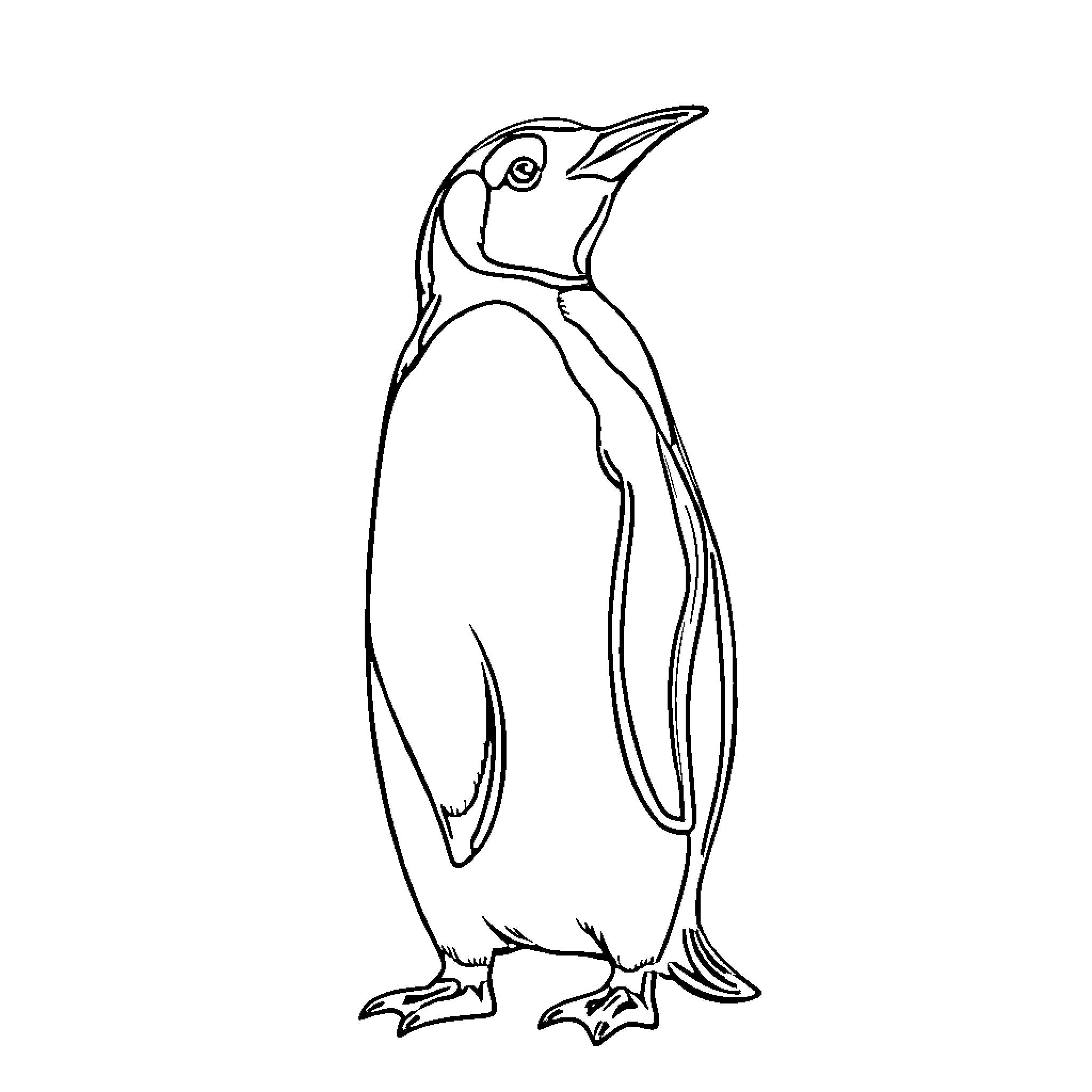 Penguin standing upright in silhouette Coloring Page (free black-and-white line drawing printable PDF for all, from beginners to advanced learners, including children, teens, adults, and seniors)