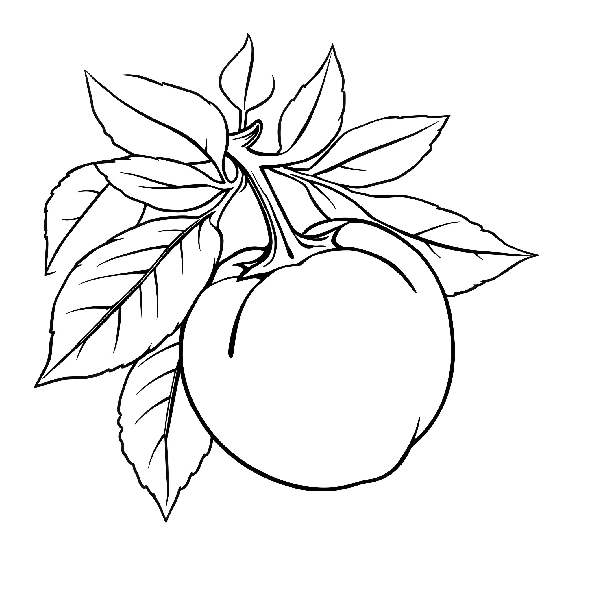 Brinjal with leaves and fruit Coloring Page (free black-and-white line drawing printable PDF for all, from beginners to advanced learners, including children, teens, adults, and seniors)
