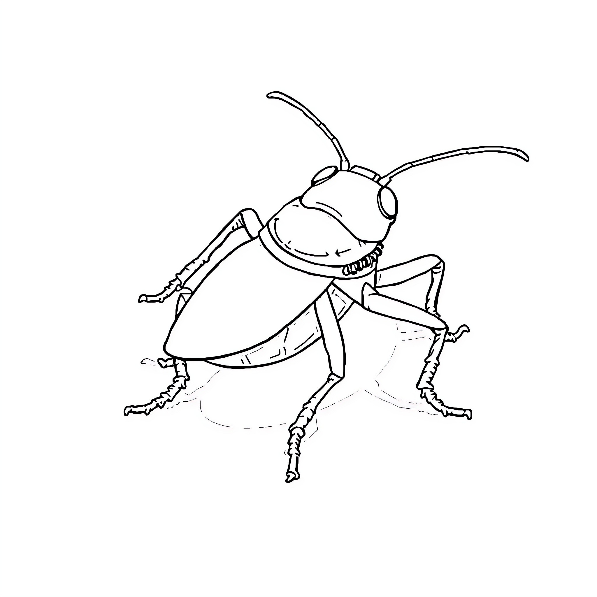 Cockroach Bug Sketch Coloring Page (free black-and-white line drawing printable PDF for all, from beginners to advanced learners, including children, teens, adults, and seniors)