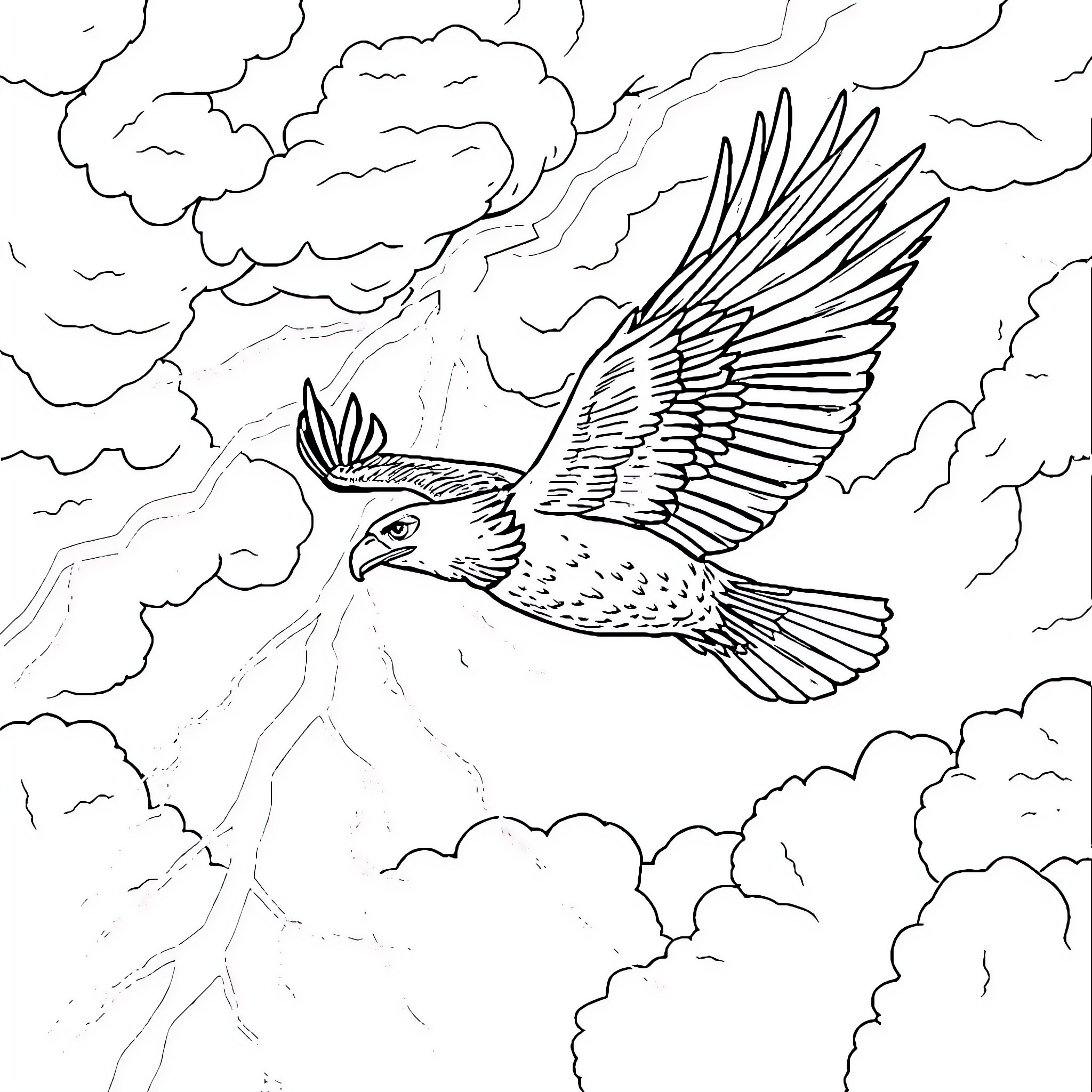 Eagle soaring through cloudy skies Coloring Page (free black-and-white line drawing printable PDF for all, from beginners to advanced learners, including children, teens, adults, and seniors)