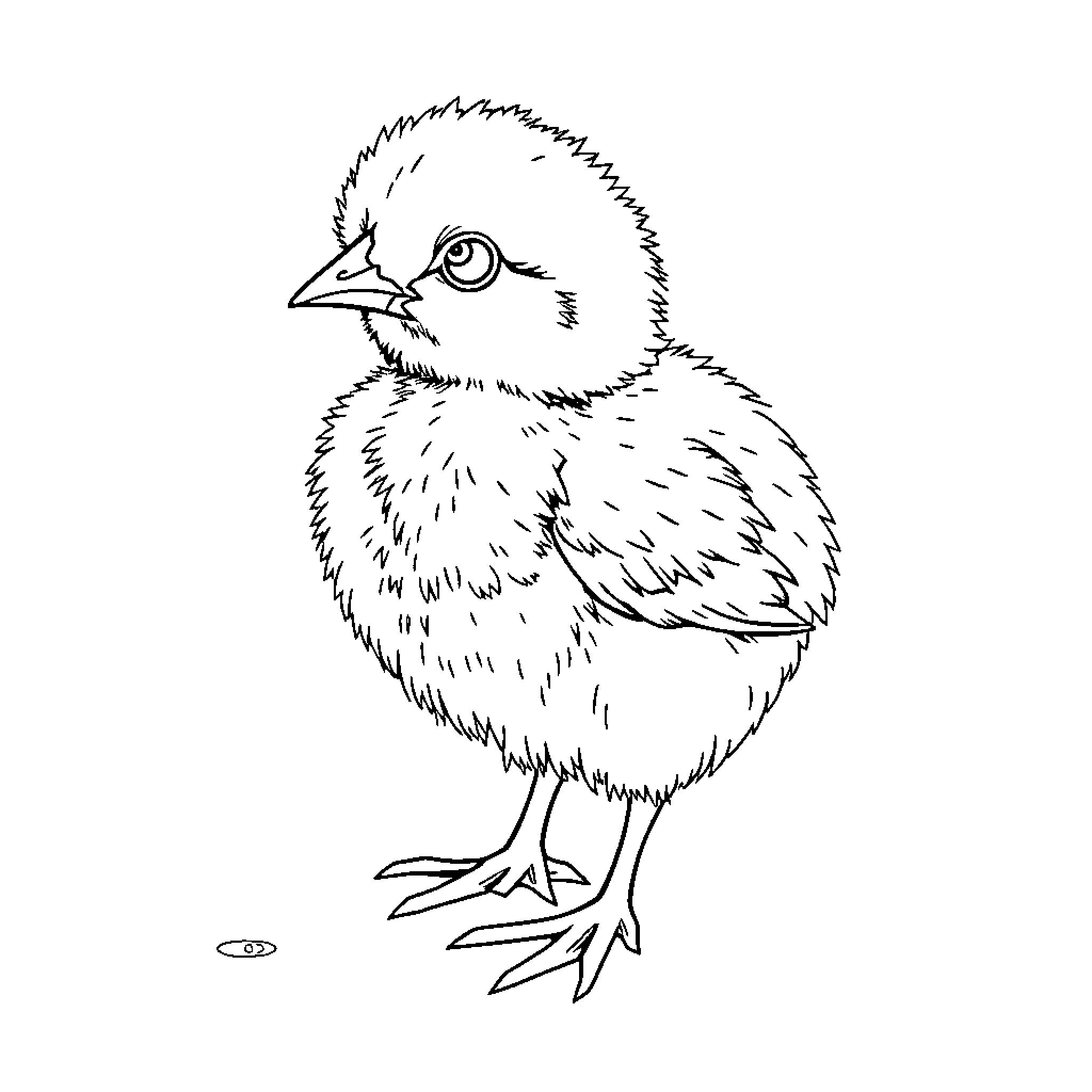 Chick with curious expression Coloring Page (free black-and-white line drawing printable PDF for all, from beginners to advanced learners, including children, teens, adults, and seniors)