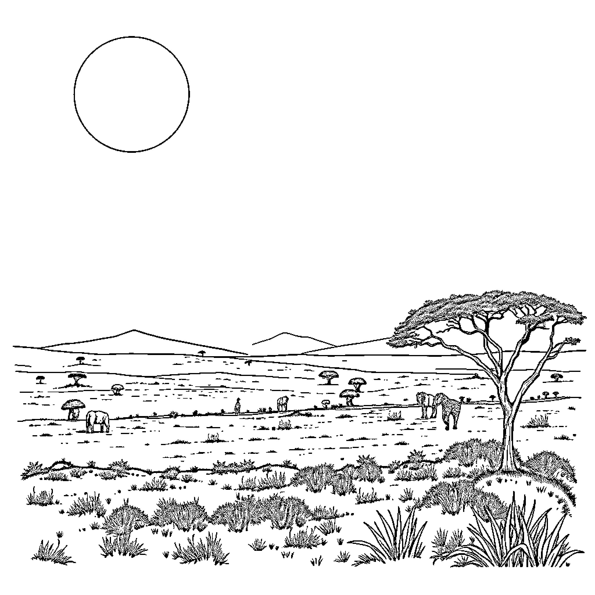 Moon over Serene Savanna Landscape Coloring Page (free black-and-white line drawing printable PDF for all, from beginners to advanced learners, including children, teens, adults, and seniors)