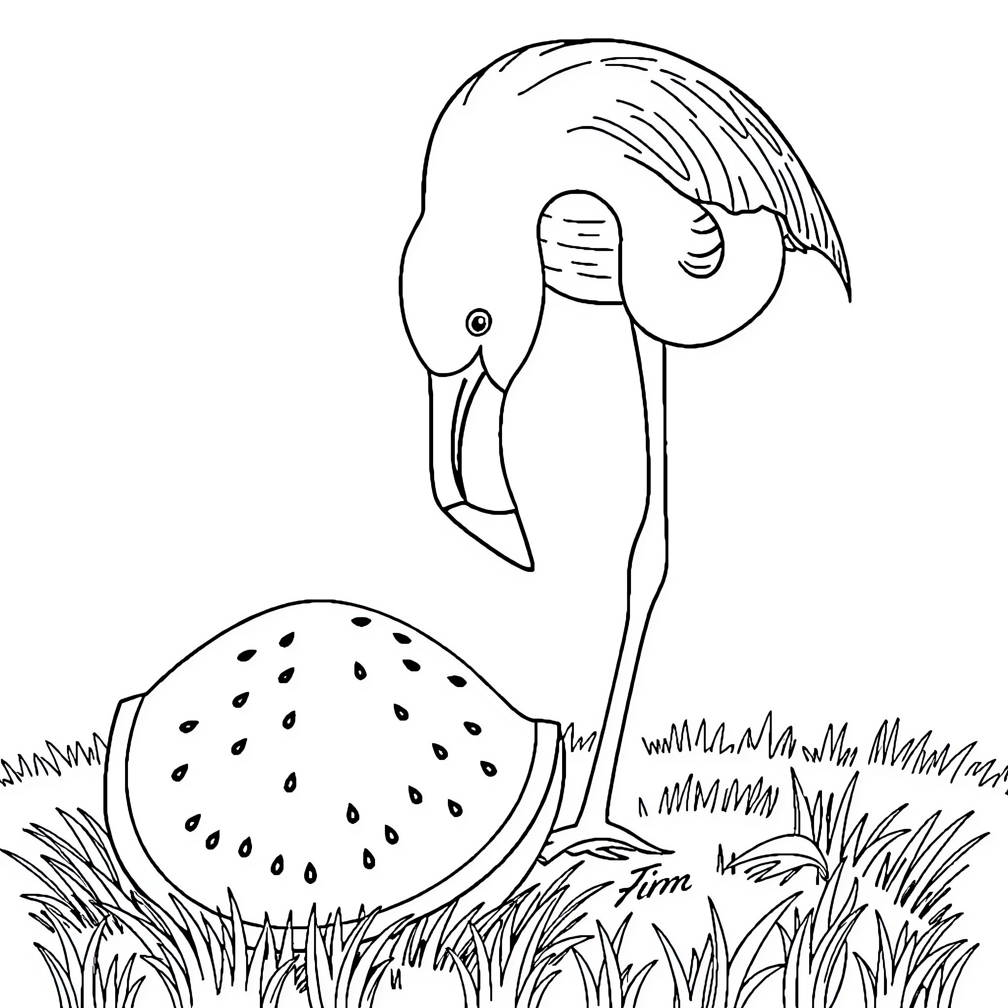 Flamingo exploring spotted mushroom in the grass Coloring Page (free black-and-white line drawing printable PDF for all, from beginners to advanced learners, including children, teens, adults, and seniors)