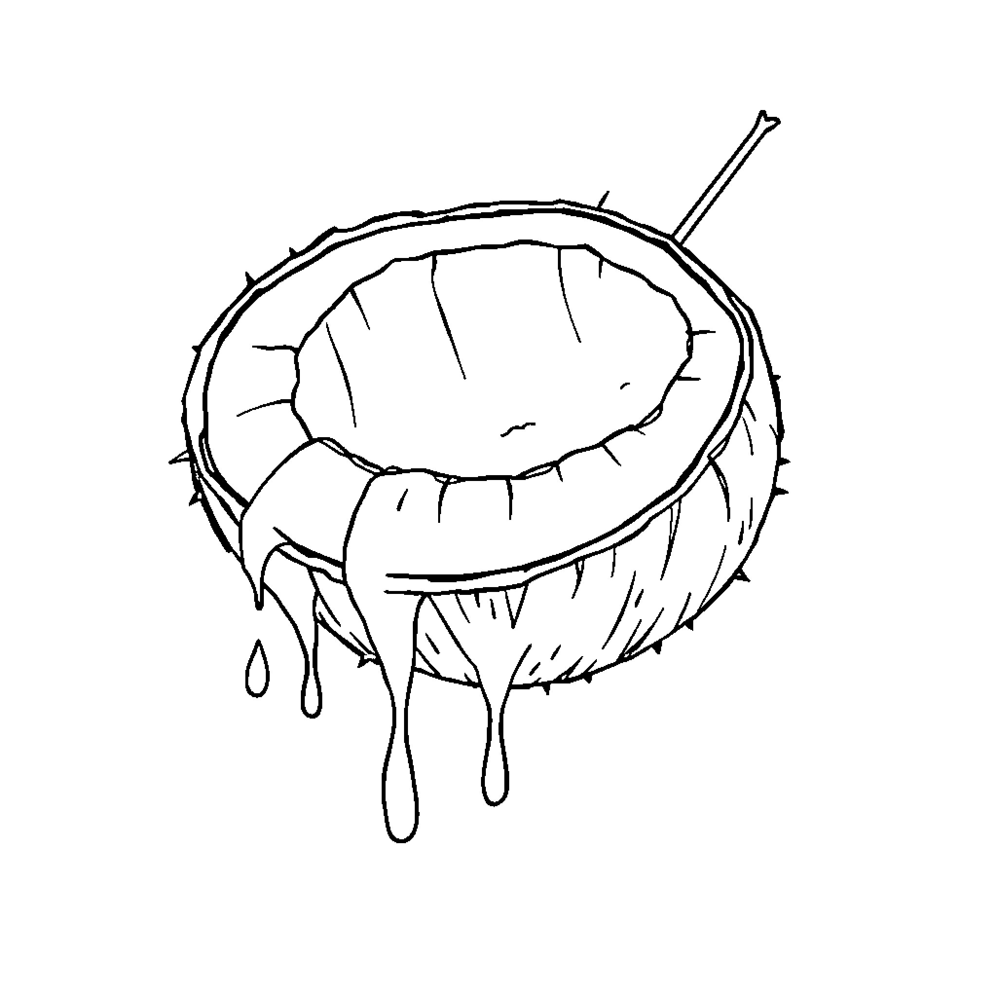 Coconut cracked with dripping liquid Coloring Page (free black-and-white line drawing printable PDF for all, from beginners to advanced learners, including children, teens, adults, and seniors)