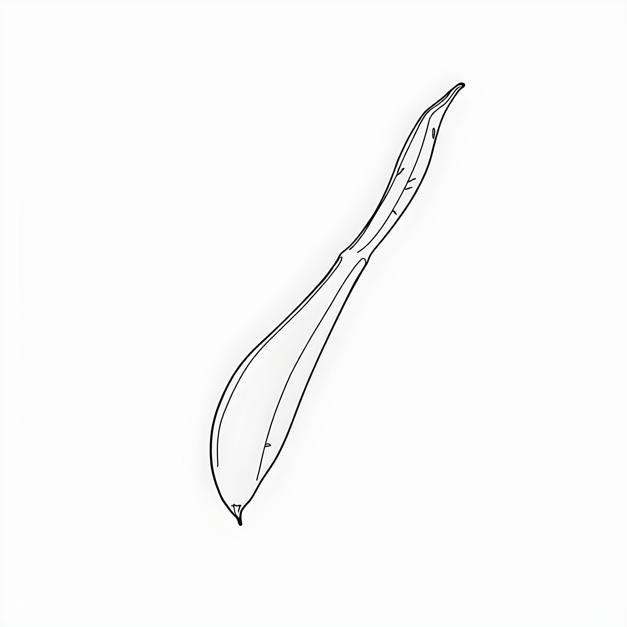 Lady Finger Pen Sketch Coloring Page (free black-and-white line drawing printable PDF for all, from beginners to advanced learners, including children, teens, adults, and seniors)