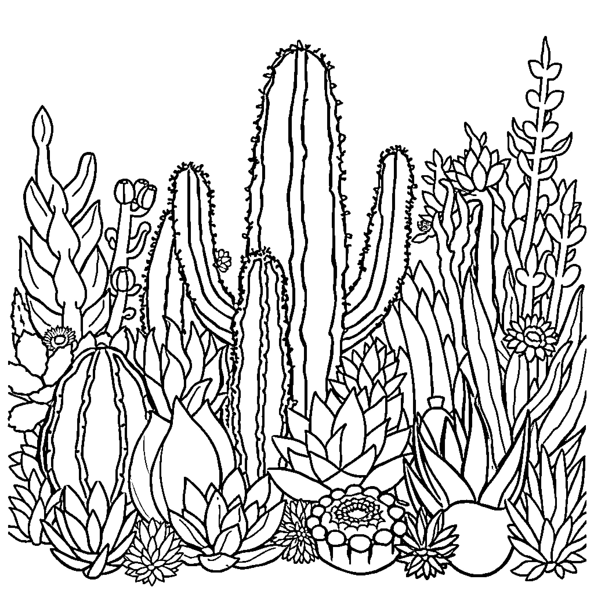 Cactus and Succulent Garden Illustration Coloring Page (free black-and-white line drawing printable PDF for all, from beginners to advanced learners, including children, teens, adults, and seniors)