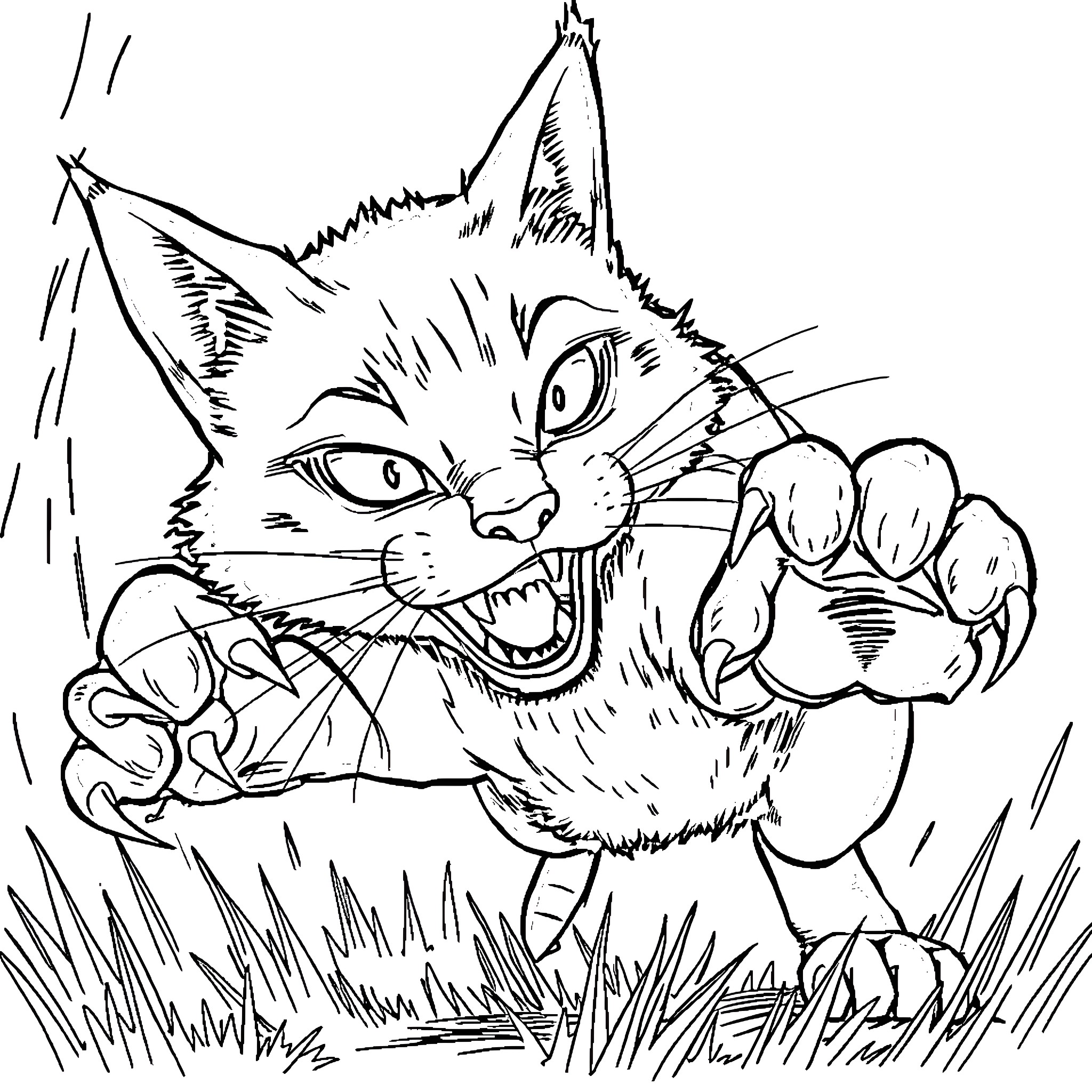 Cat in aggressive stance Coloring Page (free black-and-white line drawing printable PDF for all, from beginners to advanced learners, including children, teens, adults, and seniors)