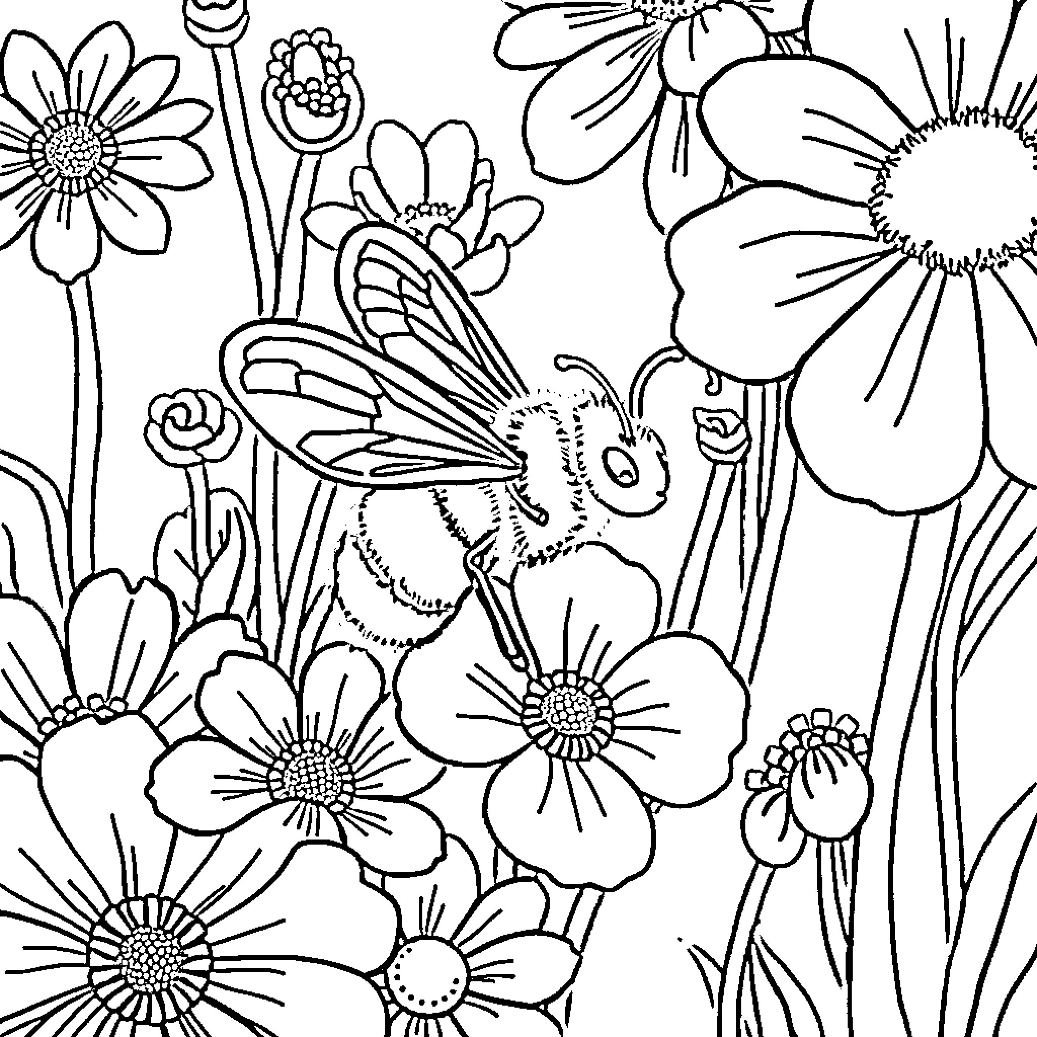 Bee enjoying the colorful flowers in the garden Coloring Page (free black-and-white line drawing printable PDF for all, from beginners to advanced learners, including children, teens, adults, and seniors)
